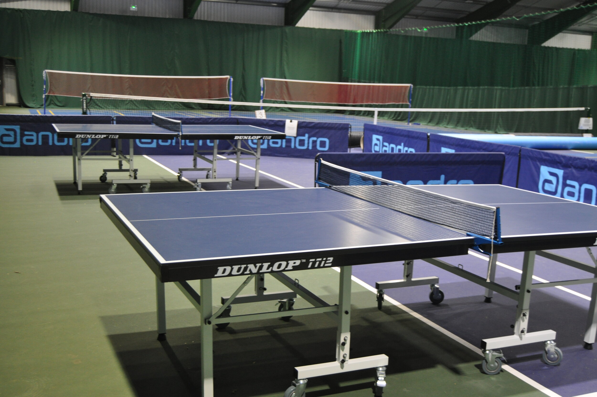 Table Tennis Tables