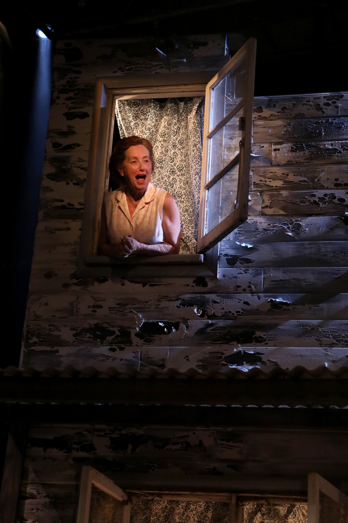 TSH Di Smith-SH-1153_LR.JPG