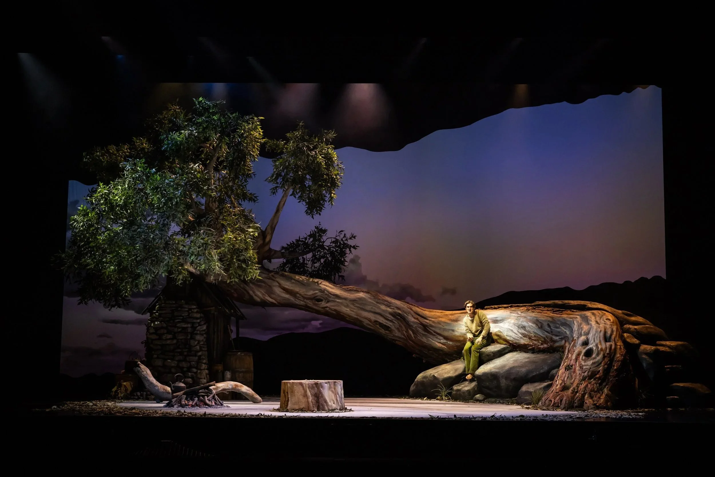 The Drover's Wife