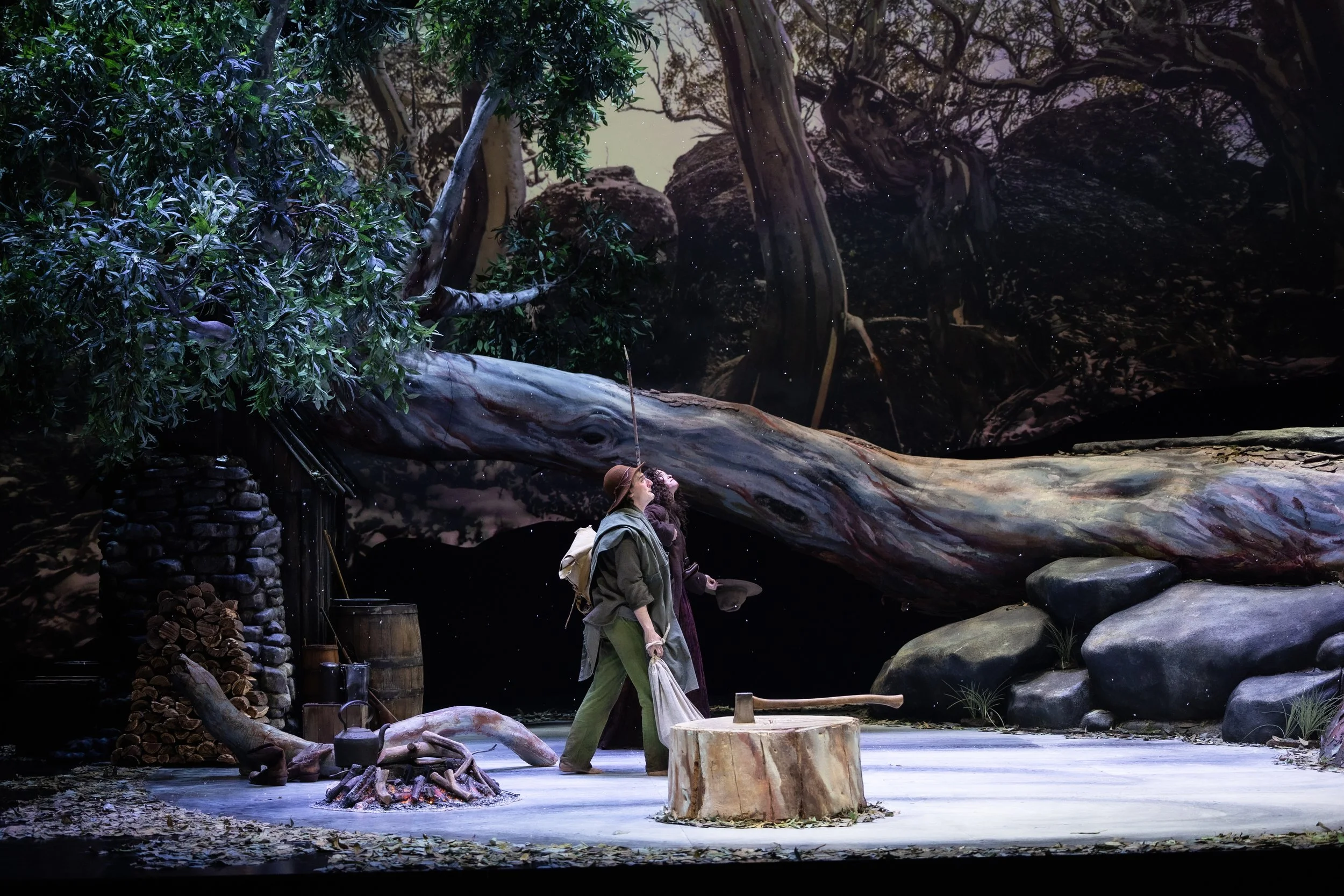 The Drover's Wife