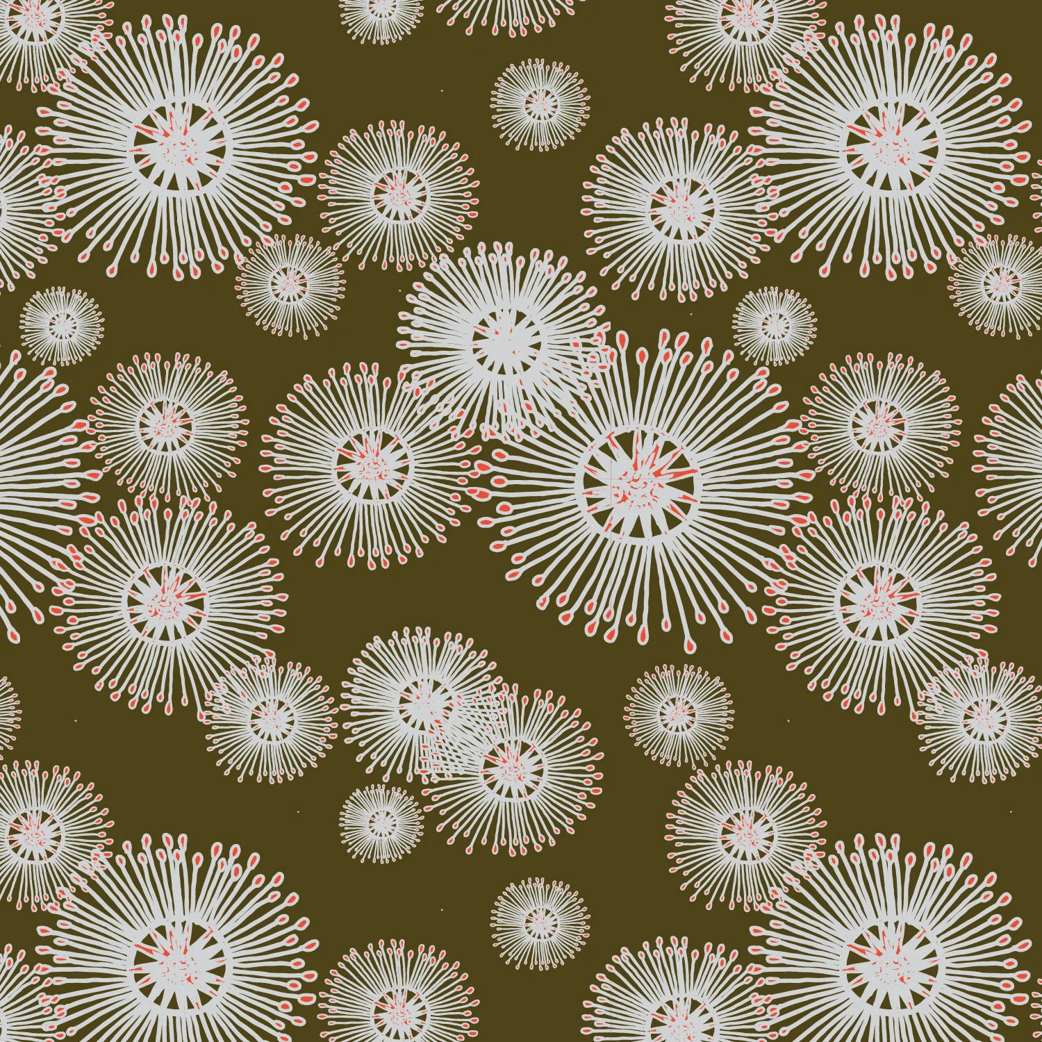 gumnuts 4 for squarespace-01.jpg
