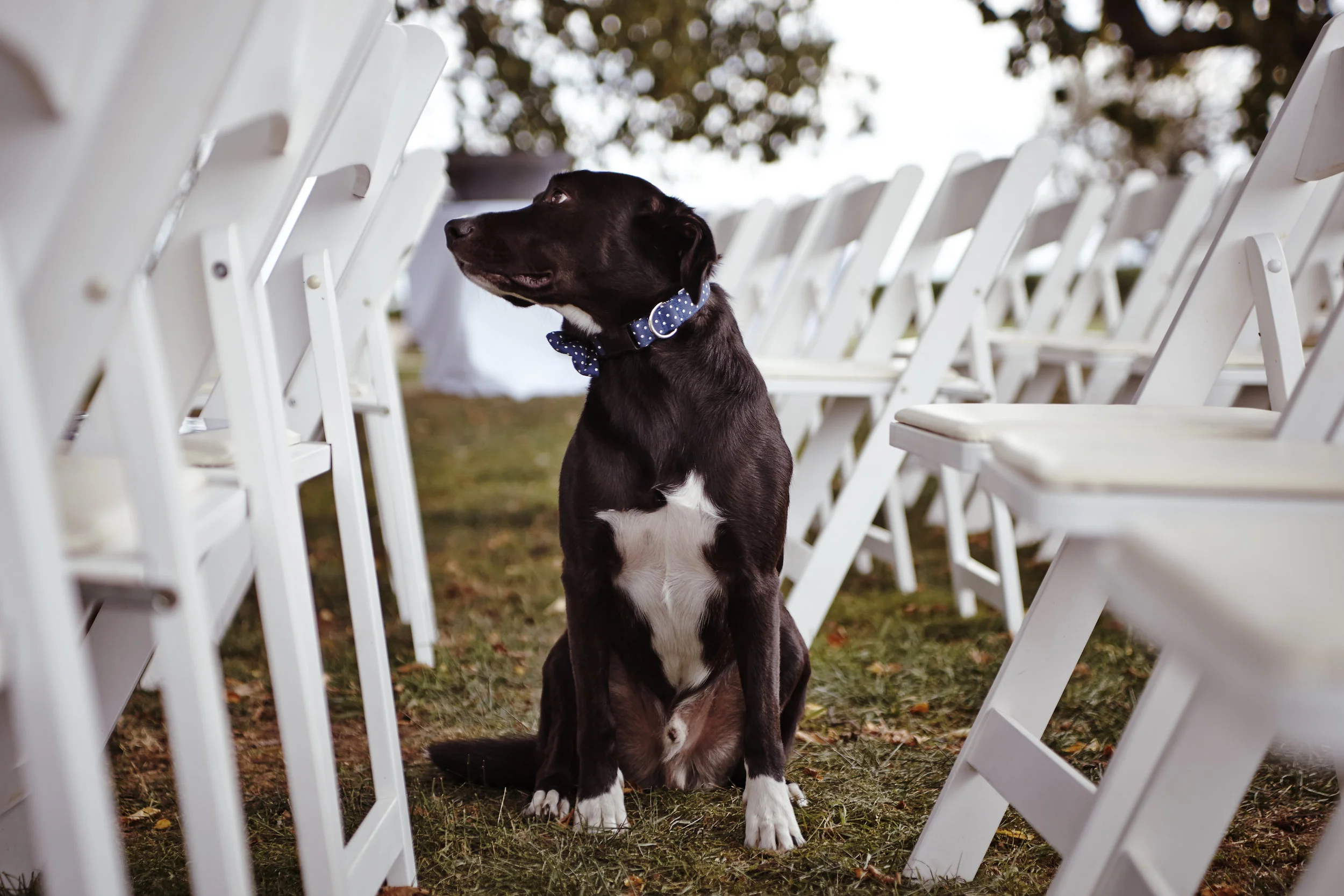 PreCeremony464.jpg