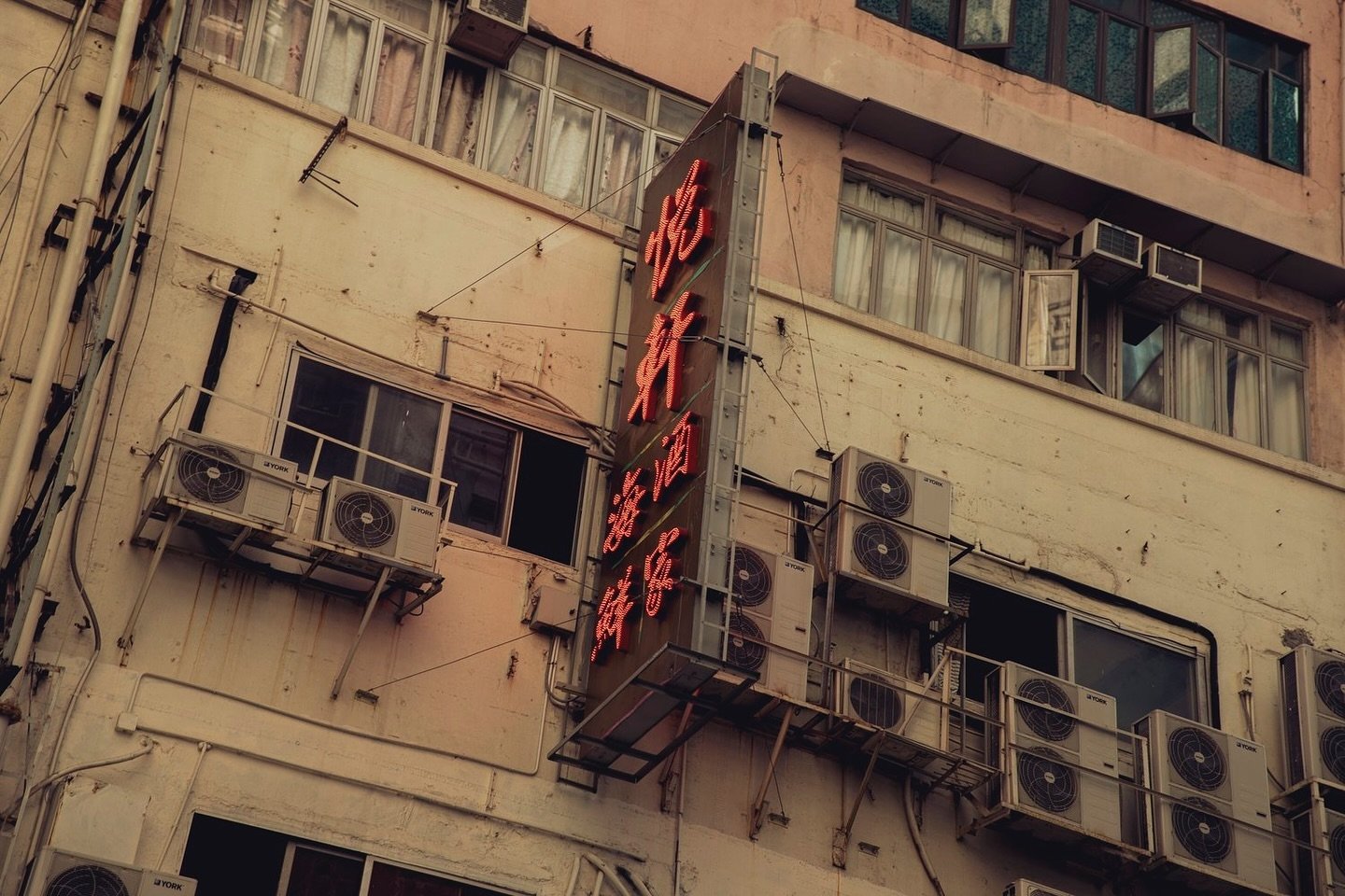 Travel Journal | Hong Kong 

#hongkong #gritty #travel