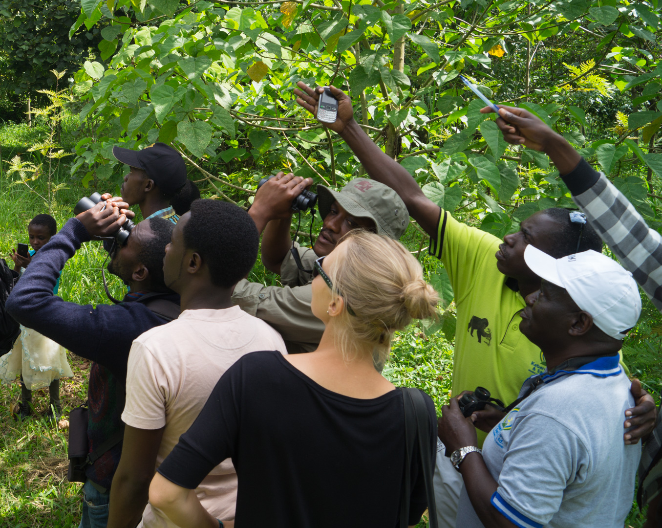 Vogelbeobachtungen mit Kabarole Tours