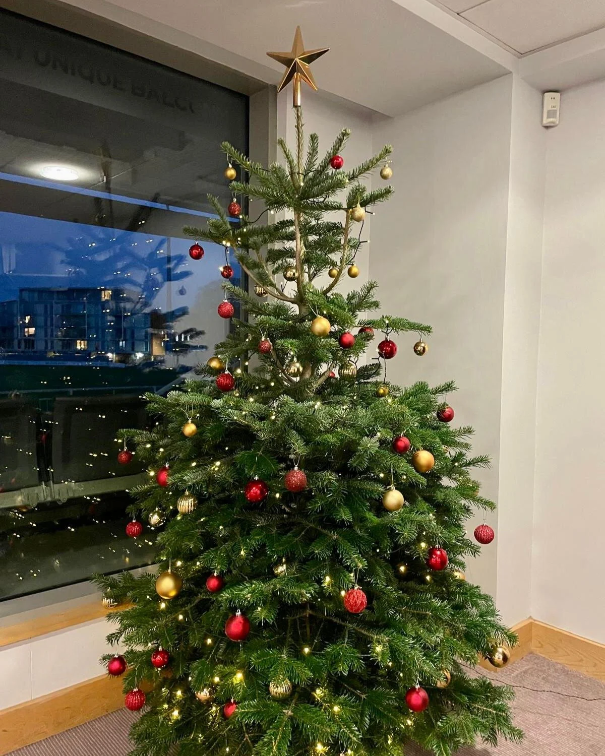 Christmas has come early at The Bristol Pavilion! 🎄✨

We&rsquo;re feeling the festive magic already thanks to our gorgeous Christmas trees now lighting up the venue.

We couldn&rsquo;t be more grateful to @almondsburygc for kindly sponsoring them. ?