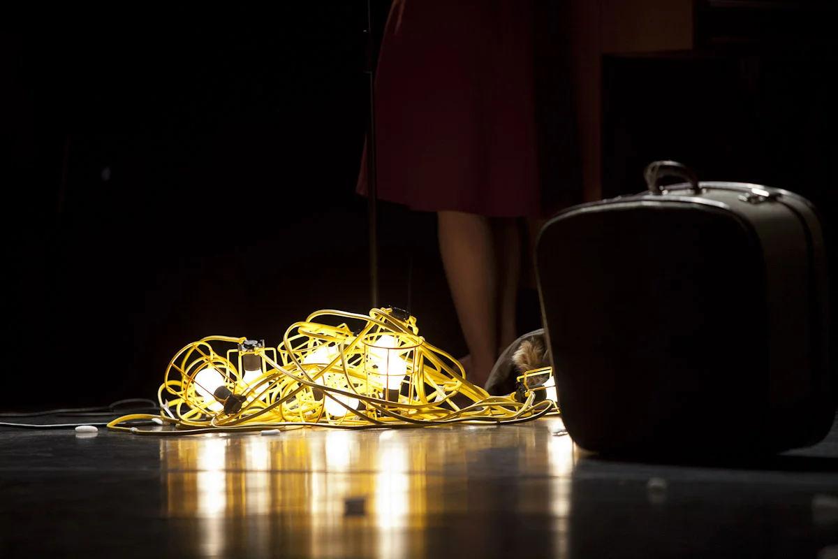 50881©MatthewAndrews2012.jpg