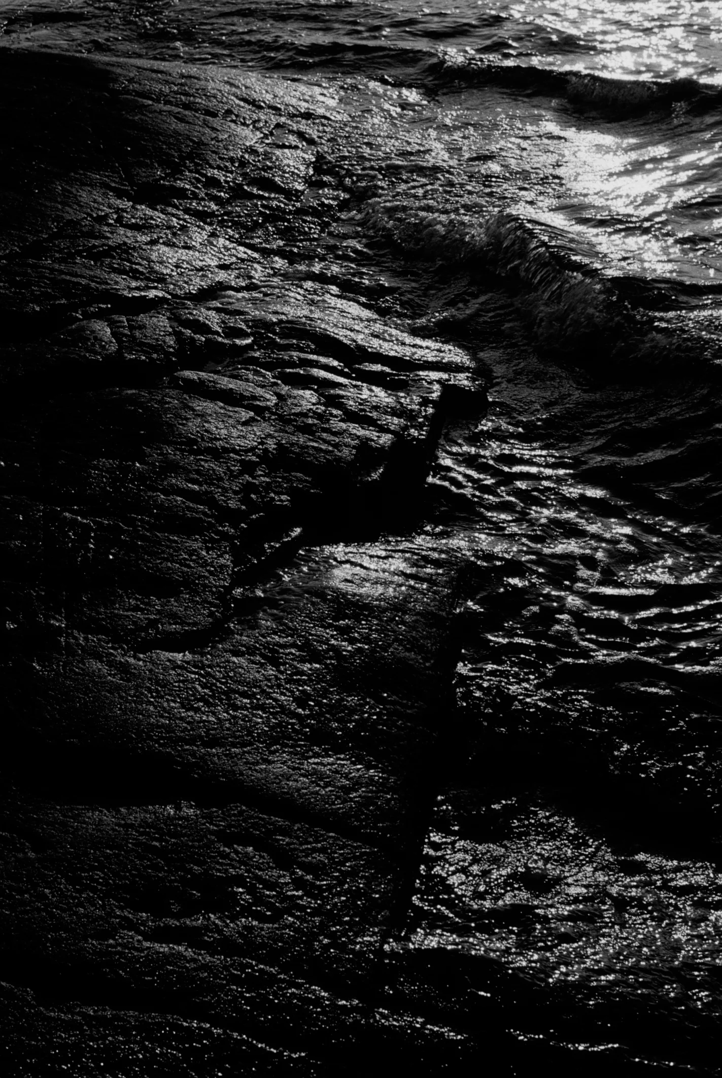 flickr 17.jpg
