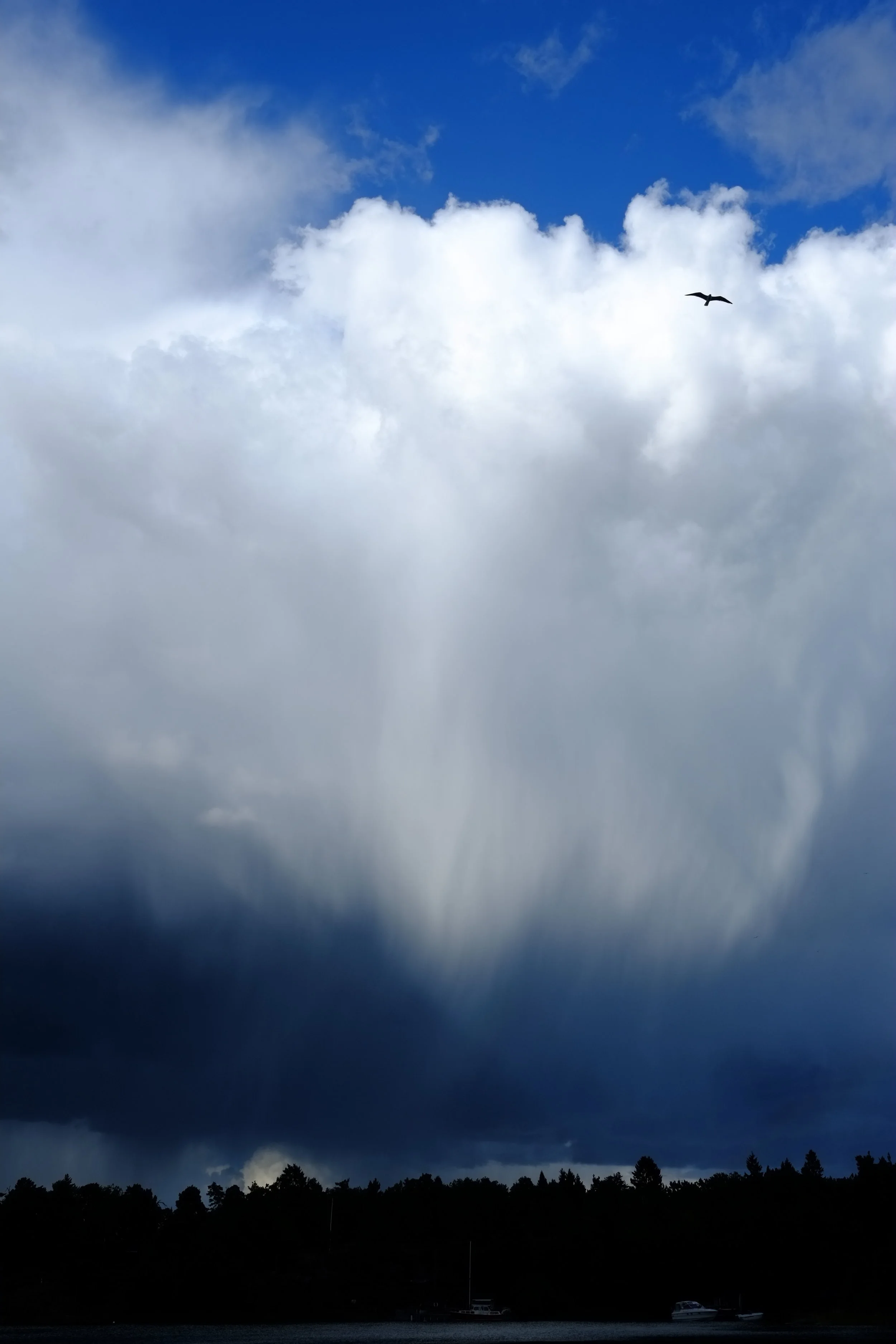 DSCF3090.JPG