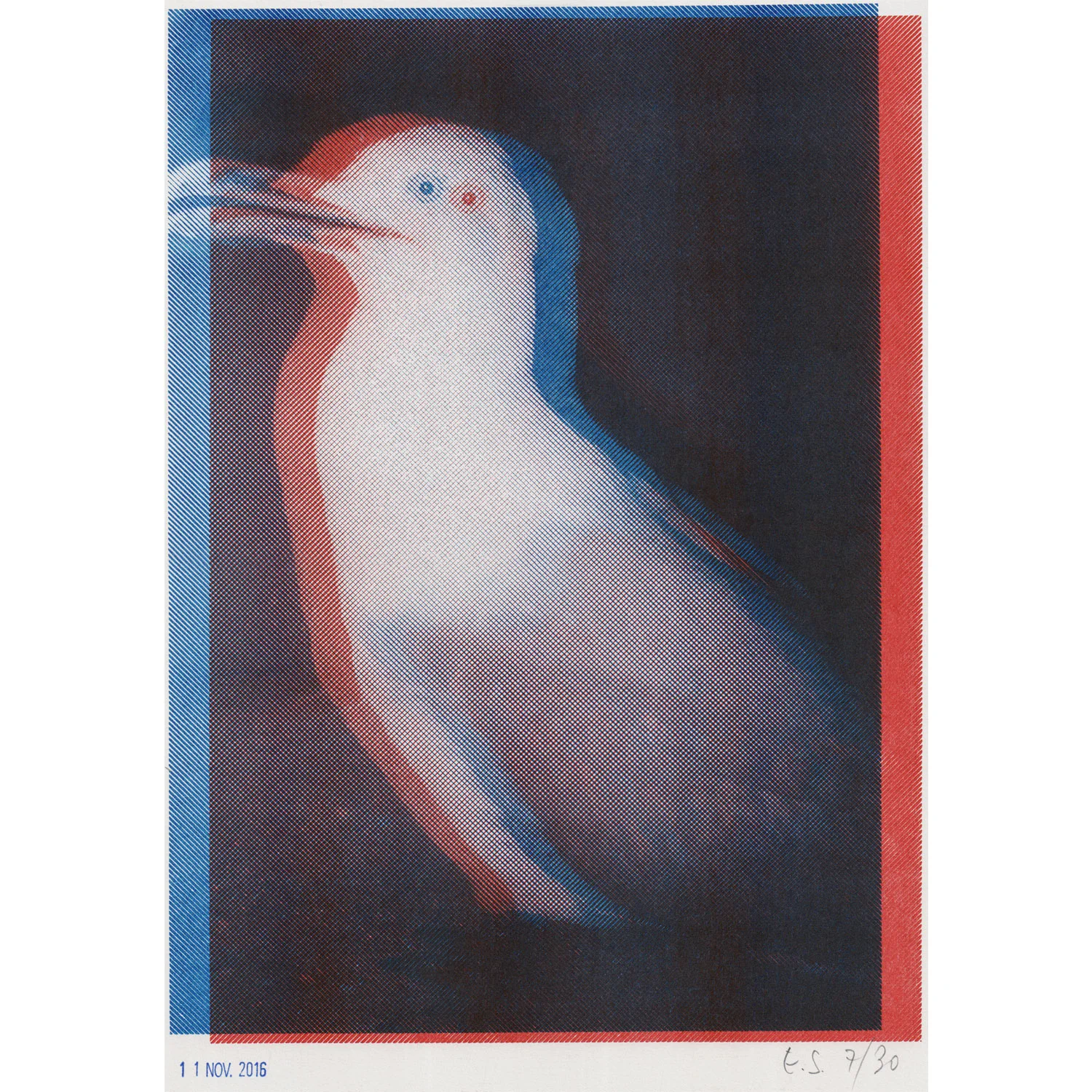 FVed 5  thumbnail.jpg