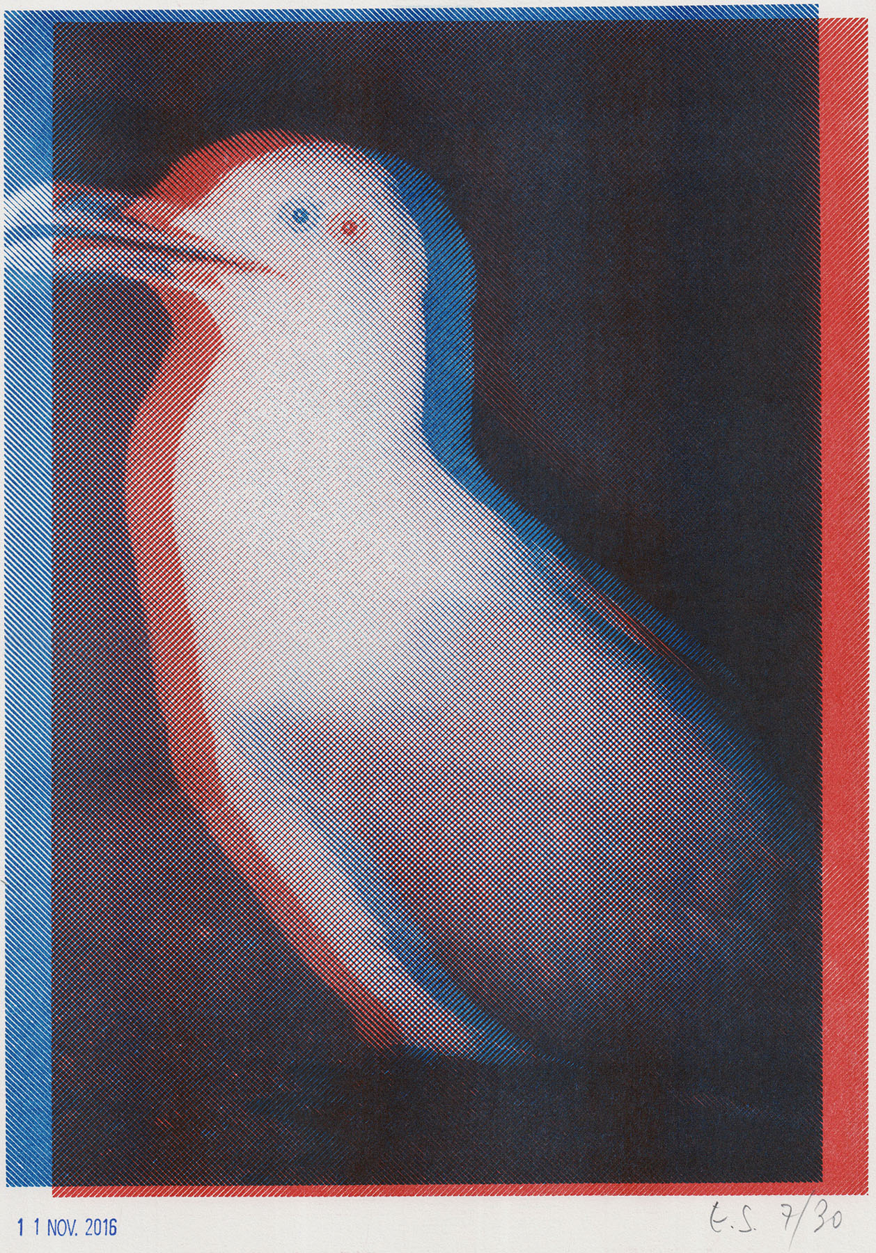 Erik Steinbrecher Farbvision Riso Edition