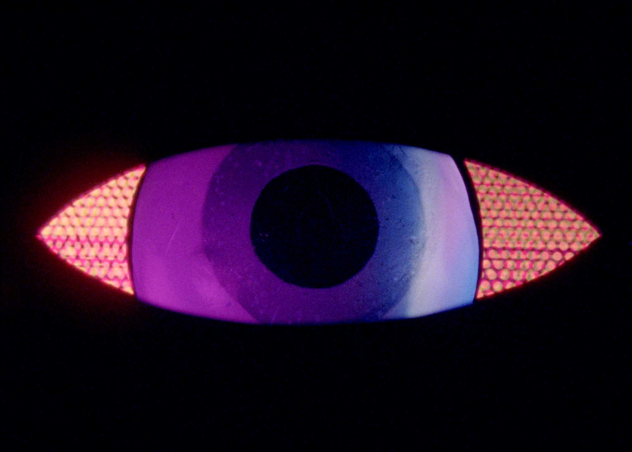 Sam Austen — Farbvision