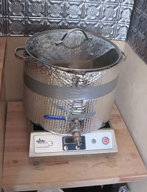 My single, sad, lonely, awesome, SIMPLE one-pot induction system.