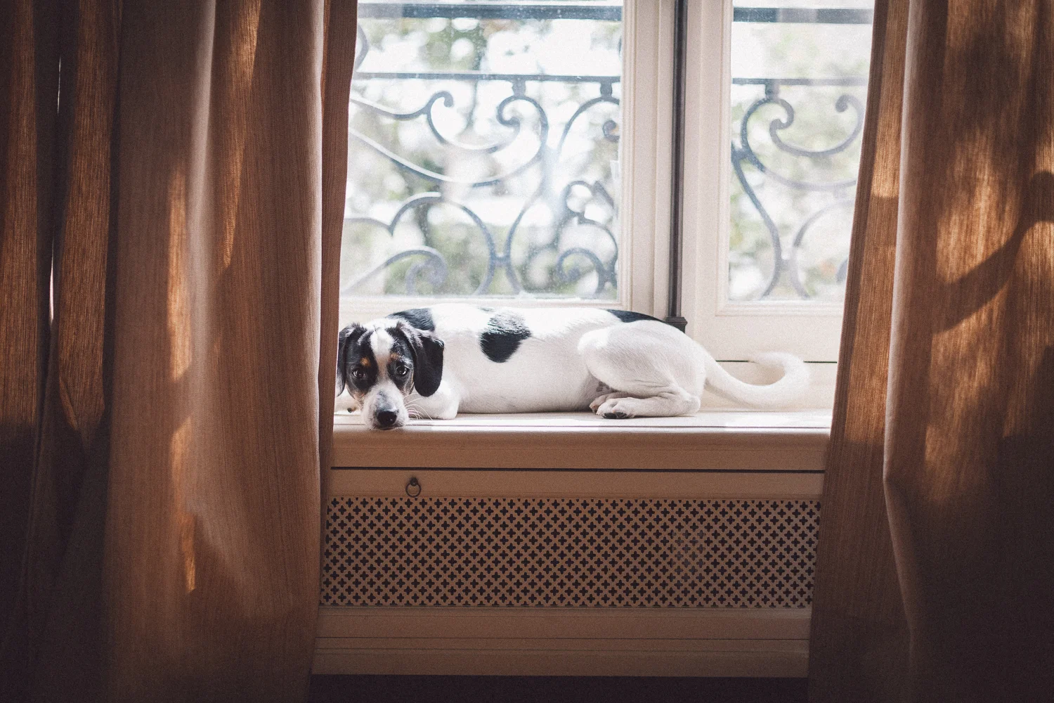 isabellastahl_20160709_MG_2022.jpg