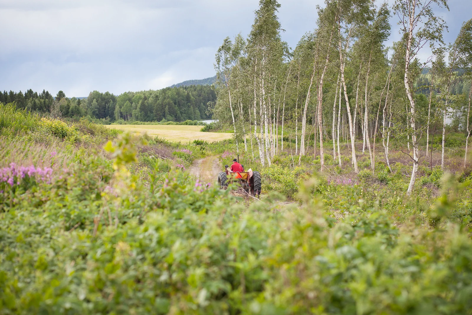 isabellastahl_20160709_MG_3692.jpg