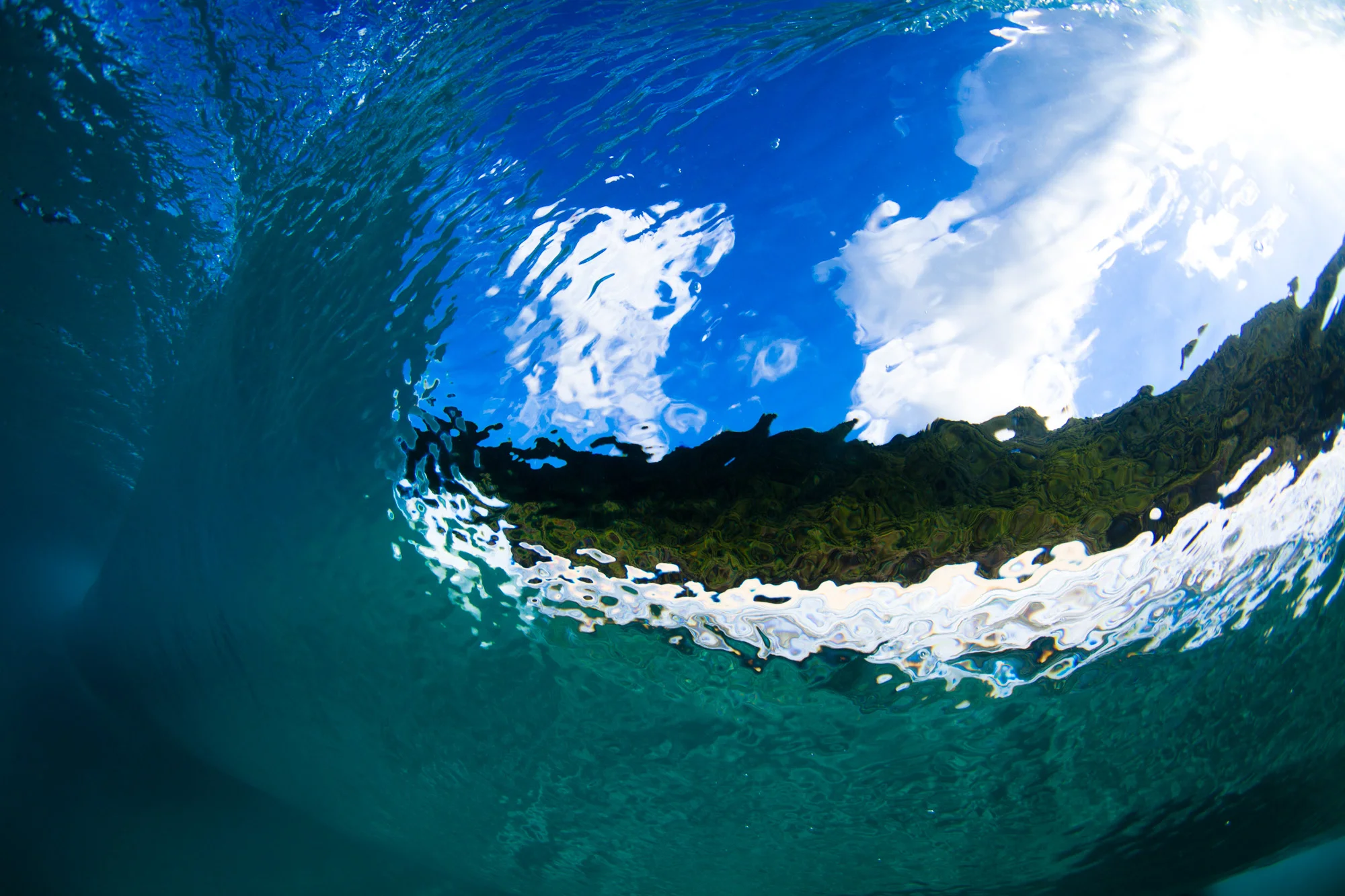 LaVecchia_RXR_Portfolio_005.jpg
