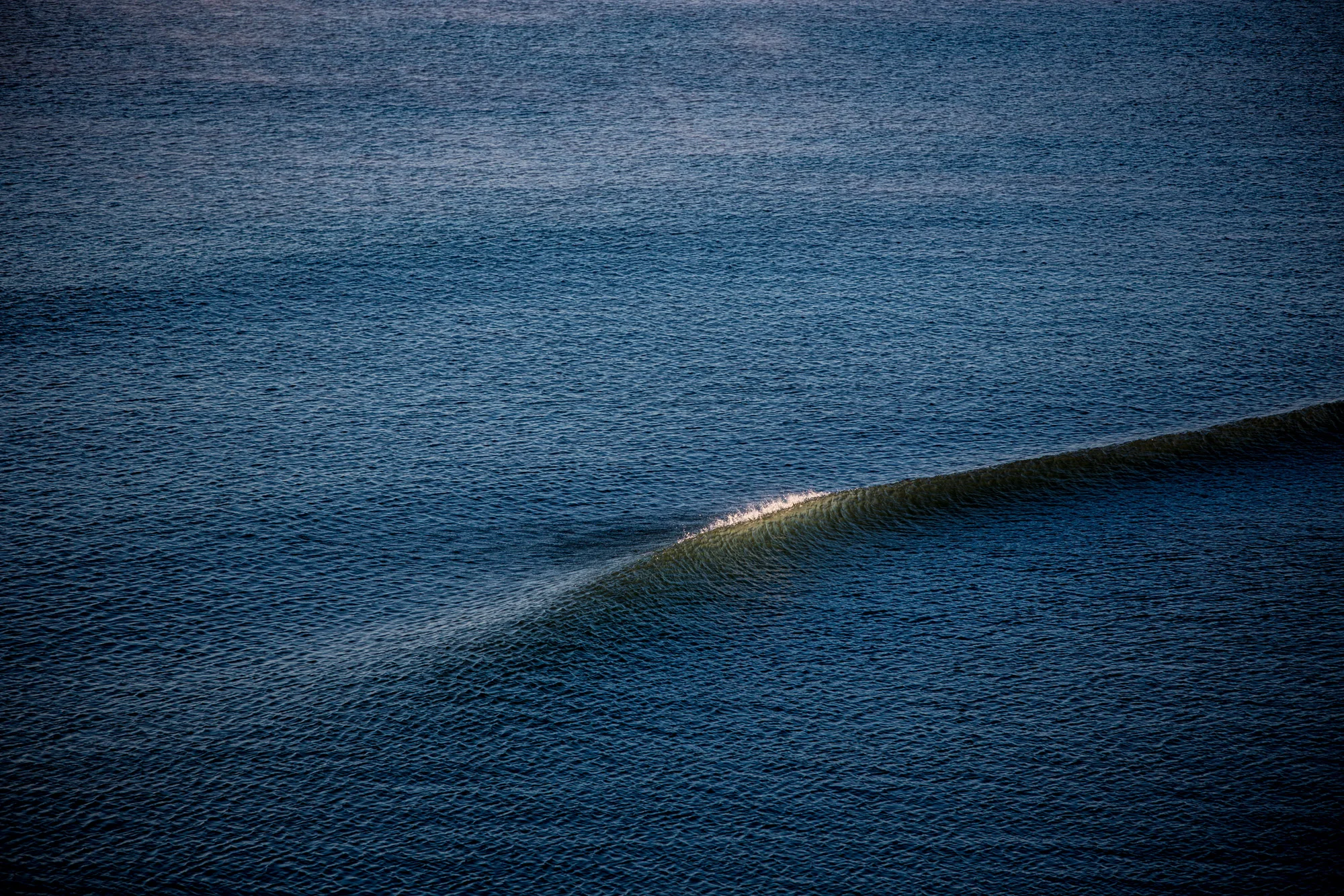 LaVecchia_RXR_Portfolio_013.jpg