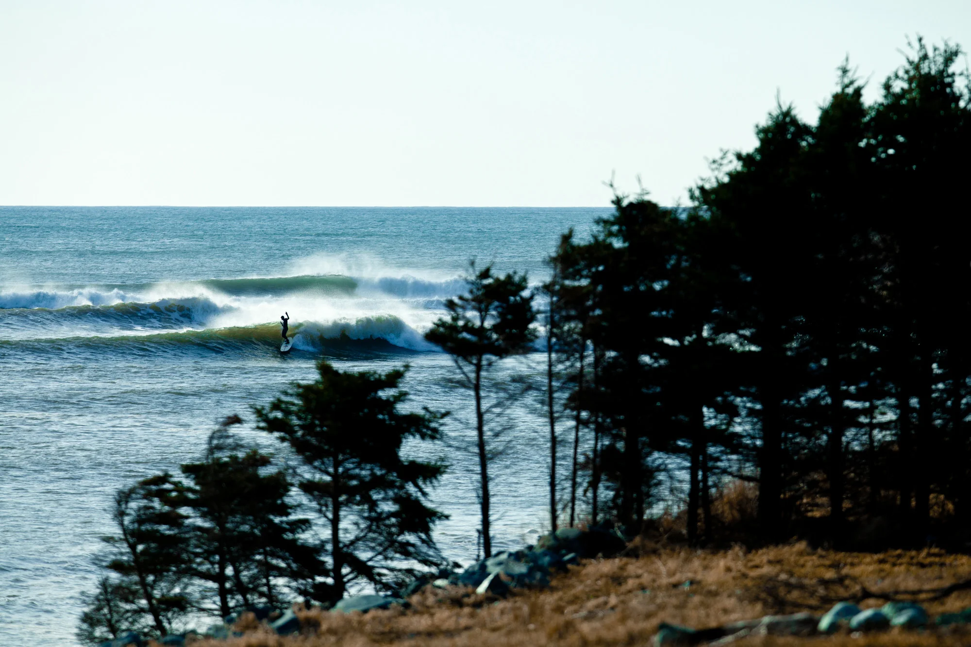 LaVecchia_RXR_Portfolio_016.jpg