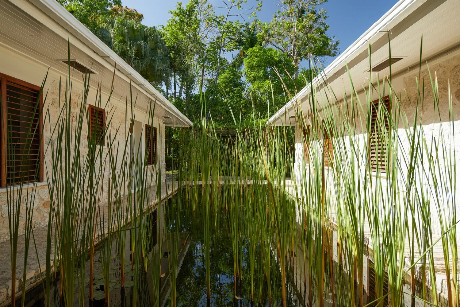 Estanque con plantas altas entre dos alas de una villa con contraventanas de madera.
