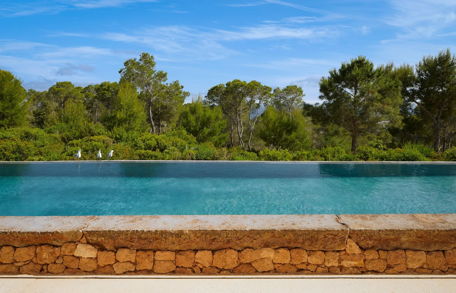 Piscina junto a un muro de piedra y un fondo de árboles