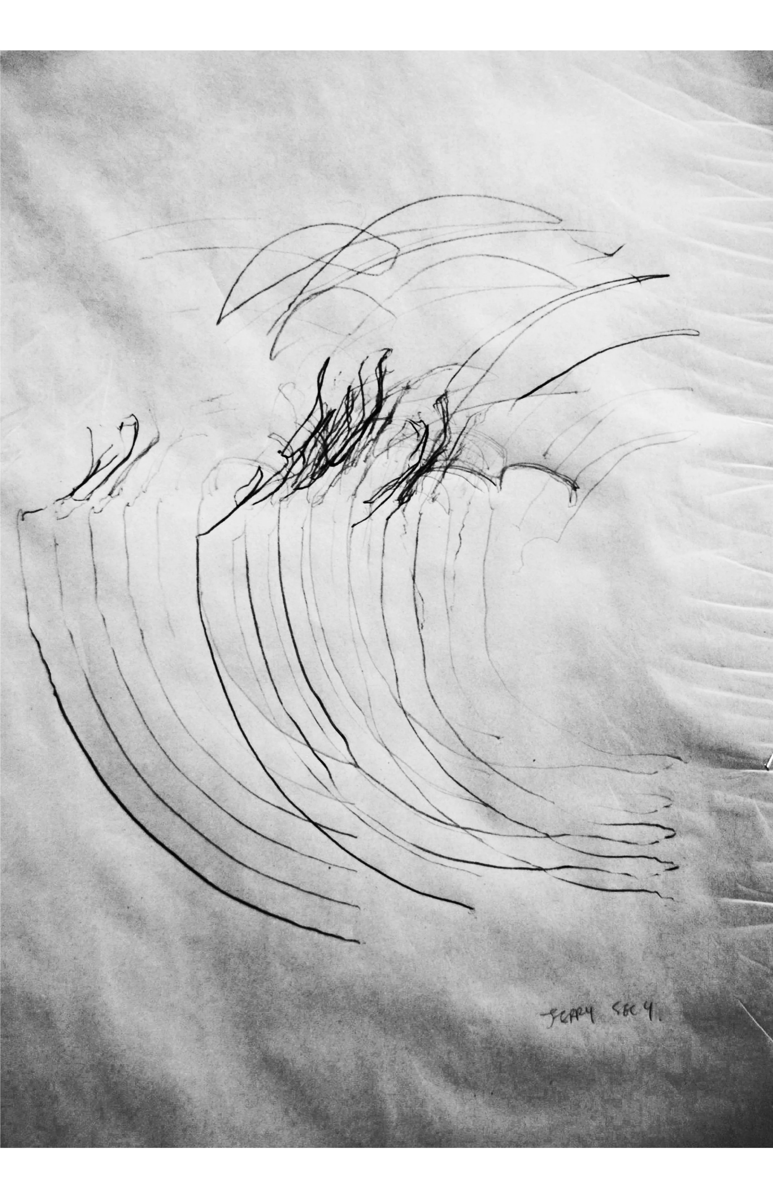 Liu_Segment 3C_2.jpg