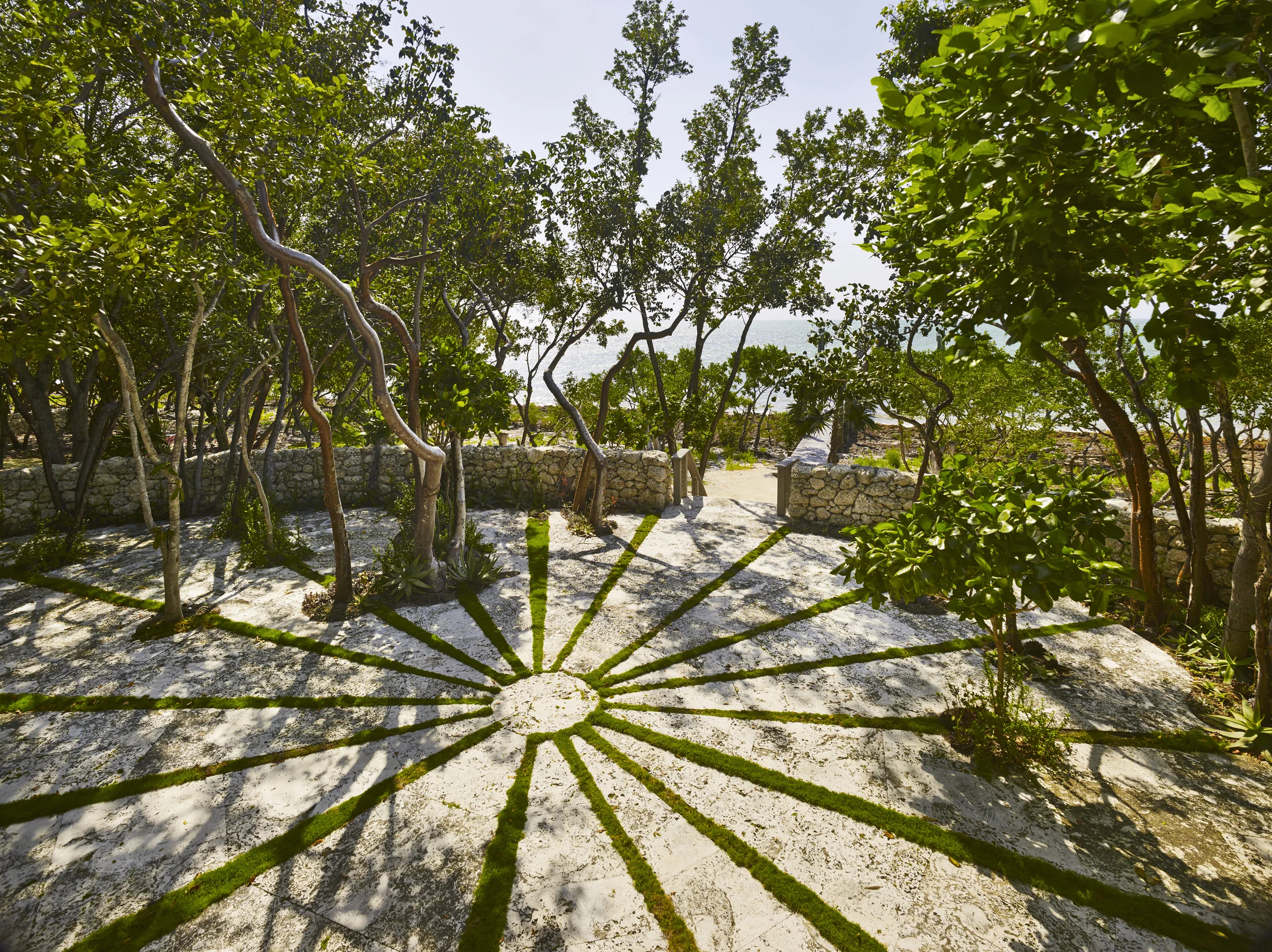 Watch Video Installation Michele Oka Doner Return to Projects