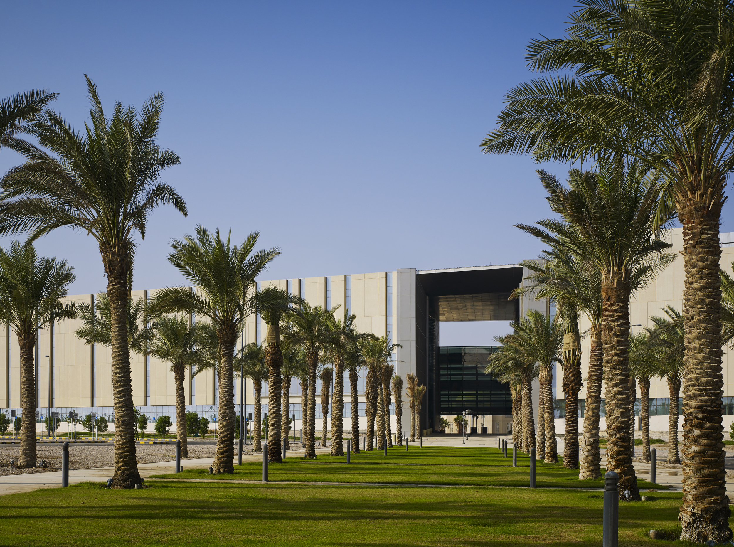  KSAU Al Ahsa Campus  Perkins &amp; Will | Dar Al Handasah (Shair and Partners)  Al Ahsa, Saudi Arabia  &nbsp;   Return to Projects  