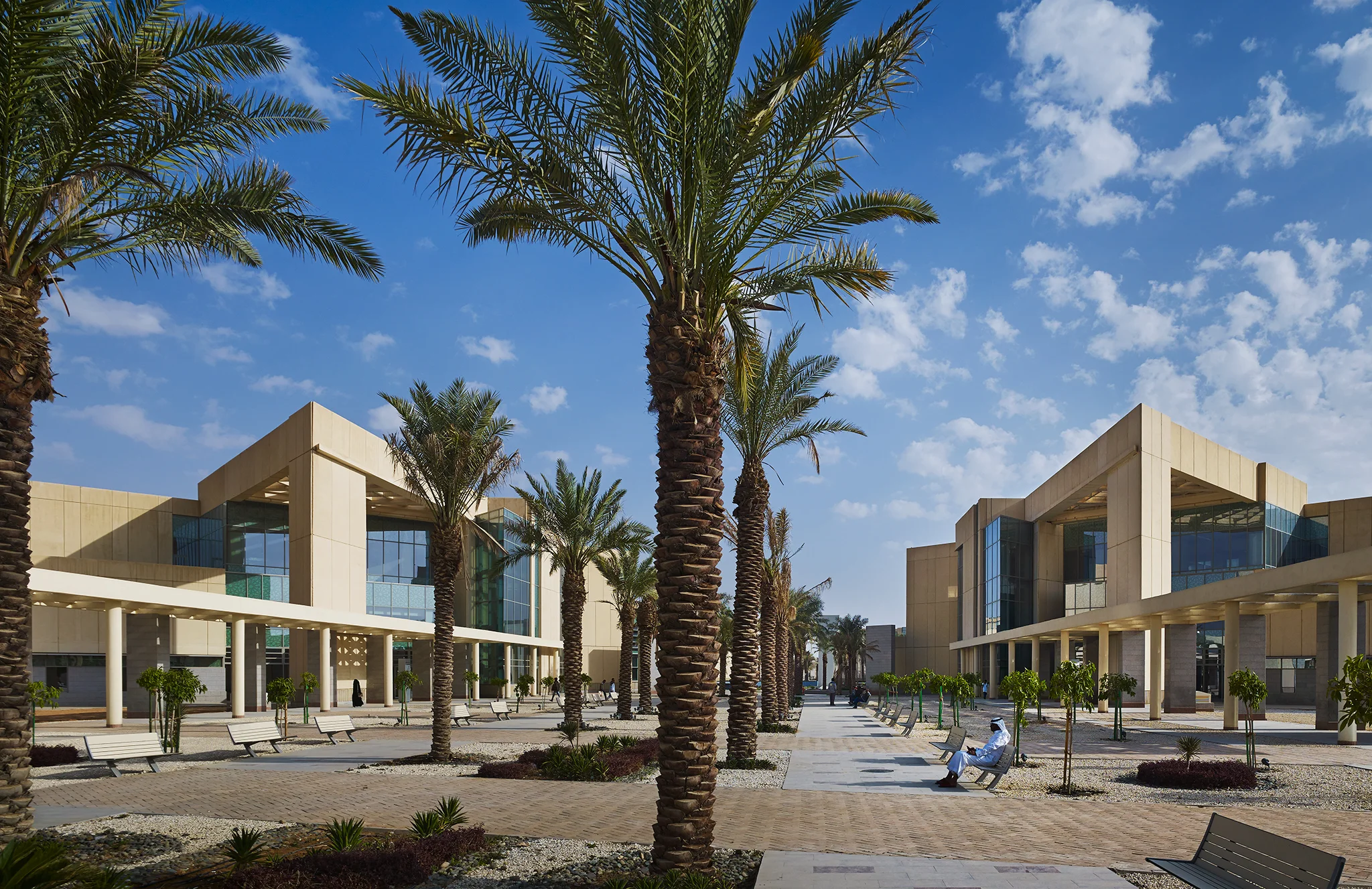 KSAU Riyadh Campus Perkins+Will with Dar Al Handasah (Shair and Partners) Riyadh, Saudi Arabia Return to Projects