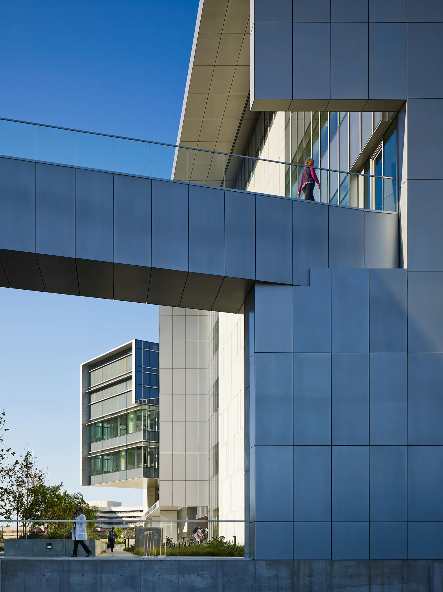 Clinical and Translational Research University of San Diego ZGF Architects La Jolla, California Return to Projects