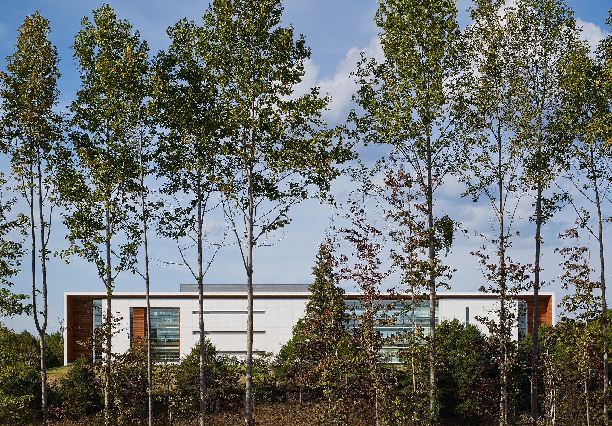 AWARDS AIA Georgia 2017 Honor Award BMW Site Operations Center Perkins+Will Spartanburg, South Carolina Return to Projects