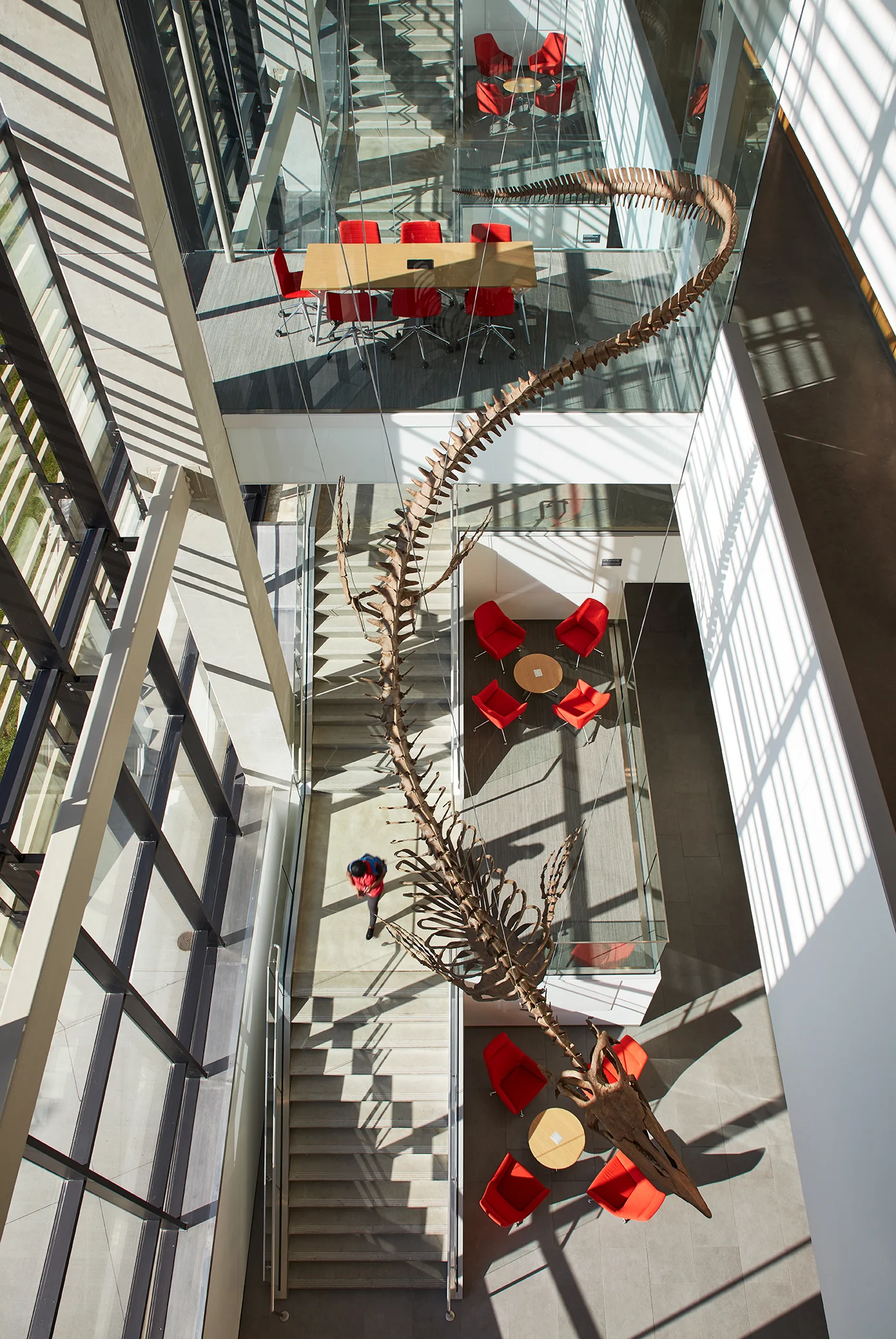 University of Kansas Earth, Energy & Environment Center Gould Evans with Cannon Design Lawrence, KS Return to Projects