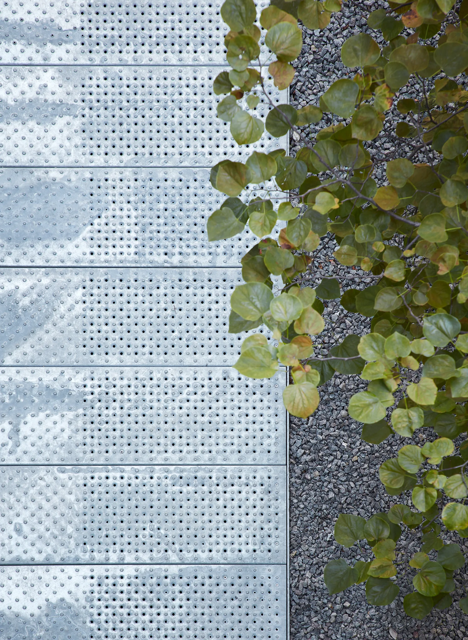 PUBLICATIONS Architectural Record , “Ed Kaplan Family Institute for Innovation and Tech Entrepreneurship by John Ronan Architects” IIT Innovation Center John Ronan Architects Chicago, IL View Full Project Steve Hall