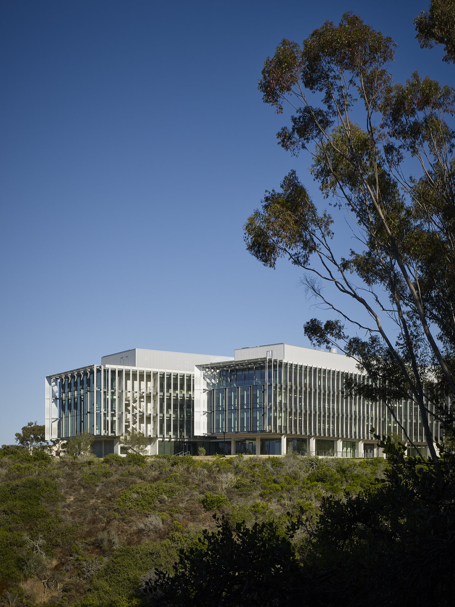  Franklin Antonio Hall | UCSD  Perkins &amp; Will  La Jolla, CA     Return to Projects  