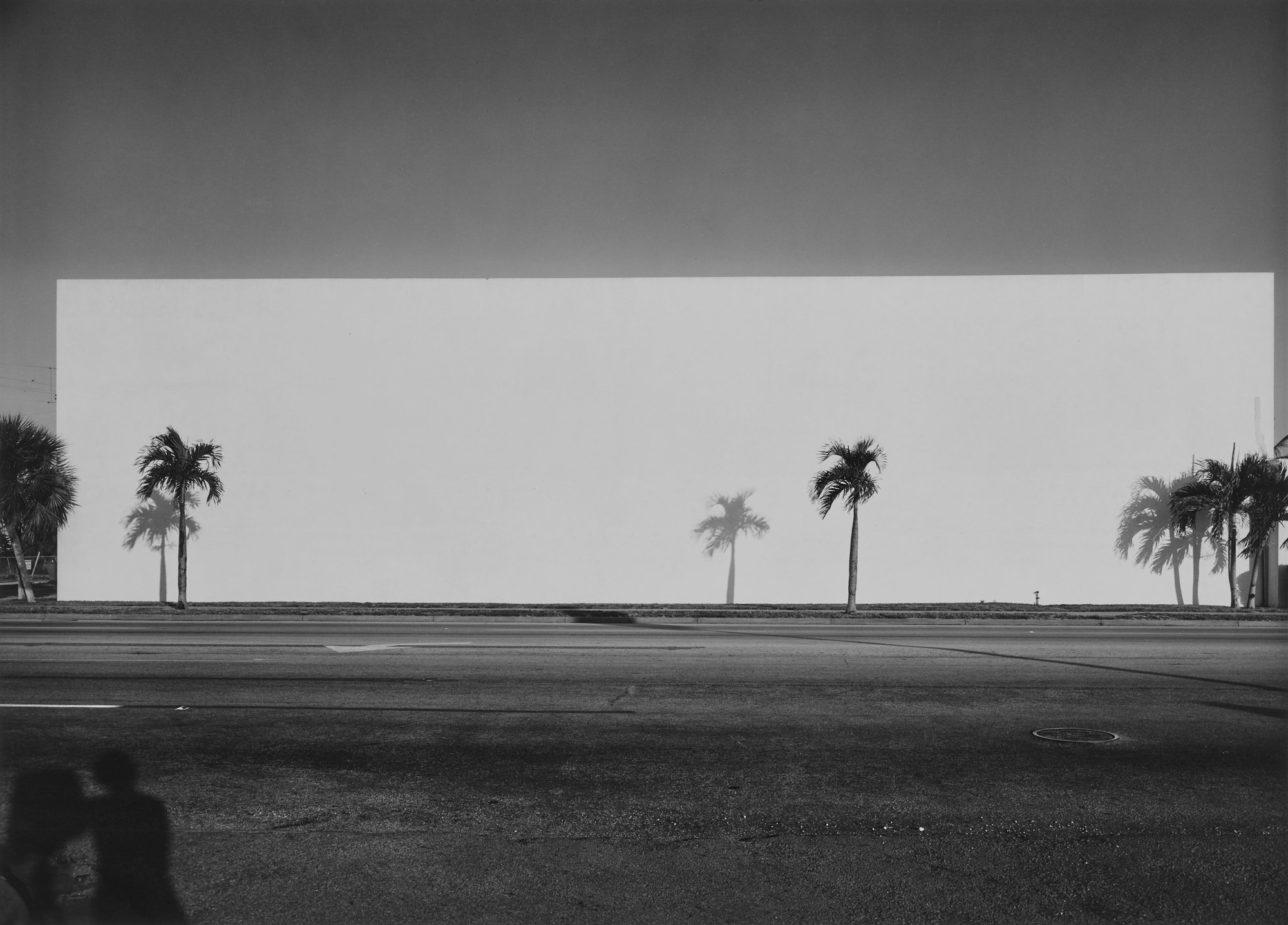 © Nicholas G Merrick 1975, Wall and Palms, Dania, Florida.jpeg