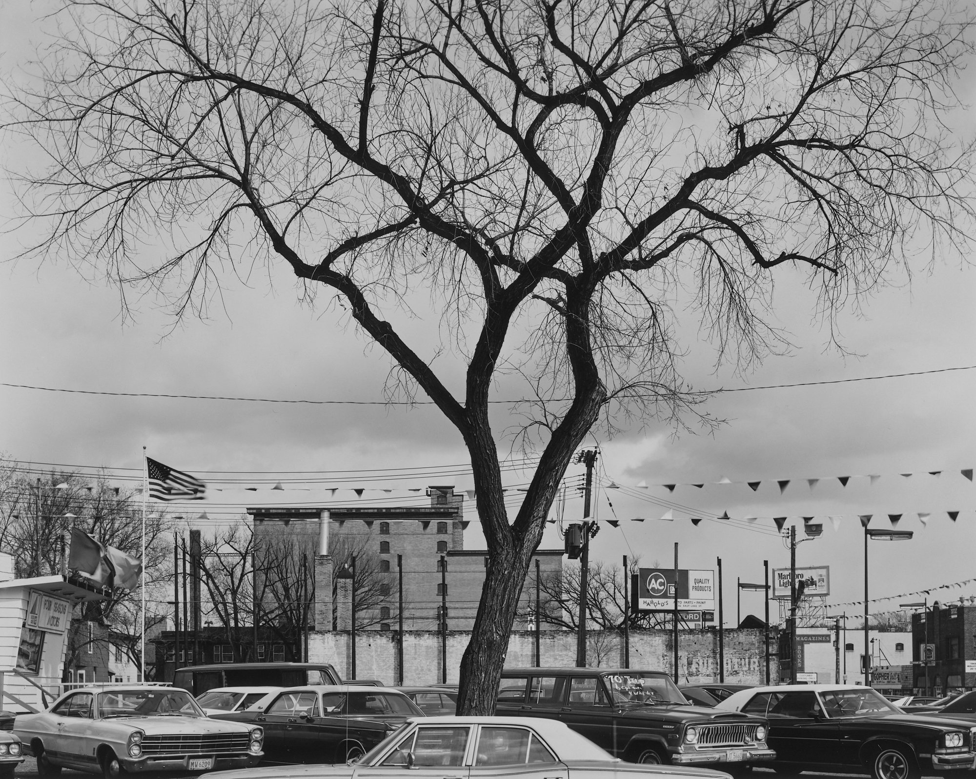 © Nicholas G Merrick 1977, Tree (Four Seasons Motors) Minneapolis, Minnesota.jpeg