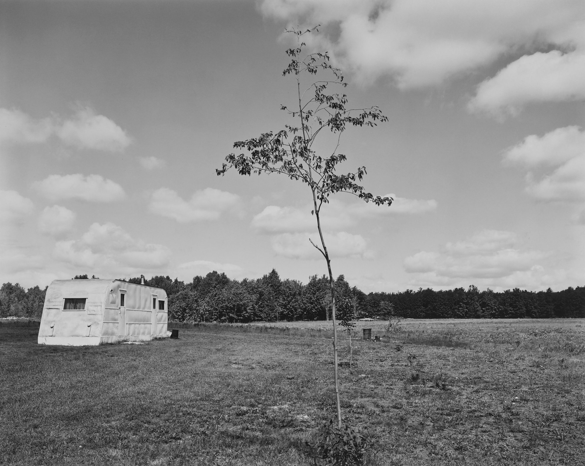 © Nicholas G Merrick 1977, Tree with Mobile Home, Mancelona, Michigan.jpeg