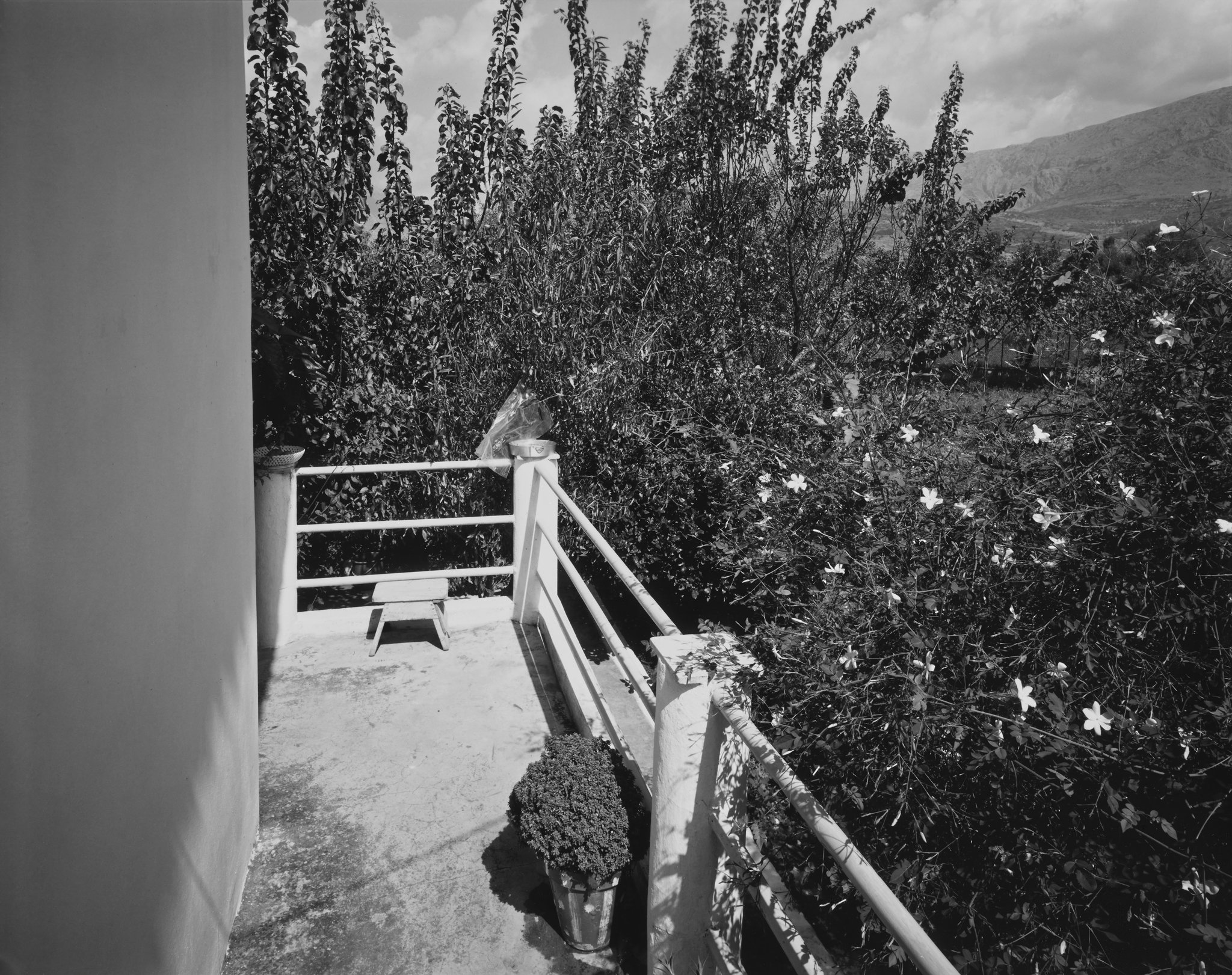 Erateini Portfolio Porch and Jasmine Blossoms 1979 © Nick Merrick.jpg