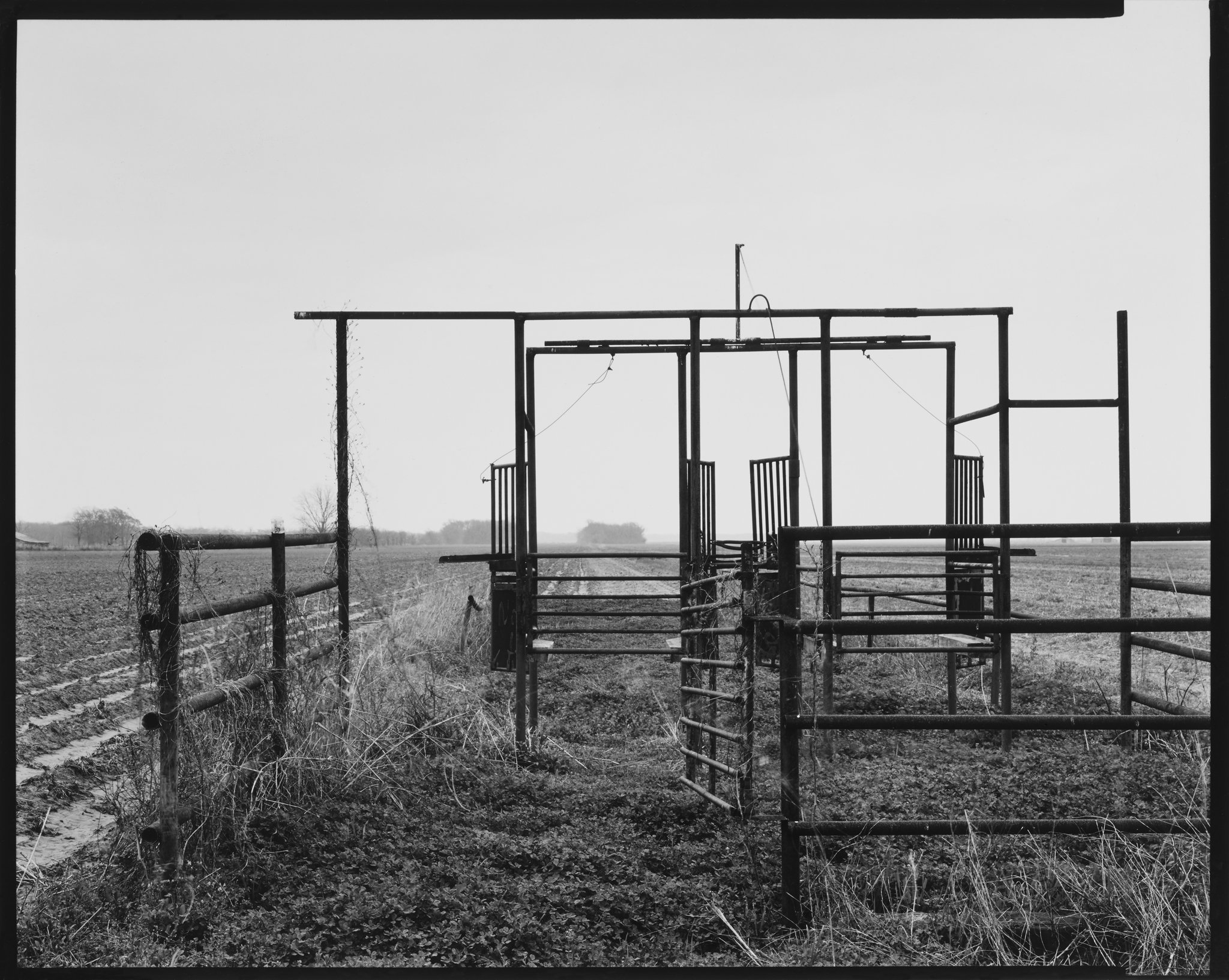 American Landscapes Portfolio_Field Gate, Louisiana_1981 © Nick Merrick.jpg