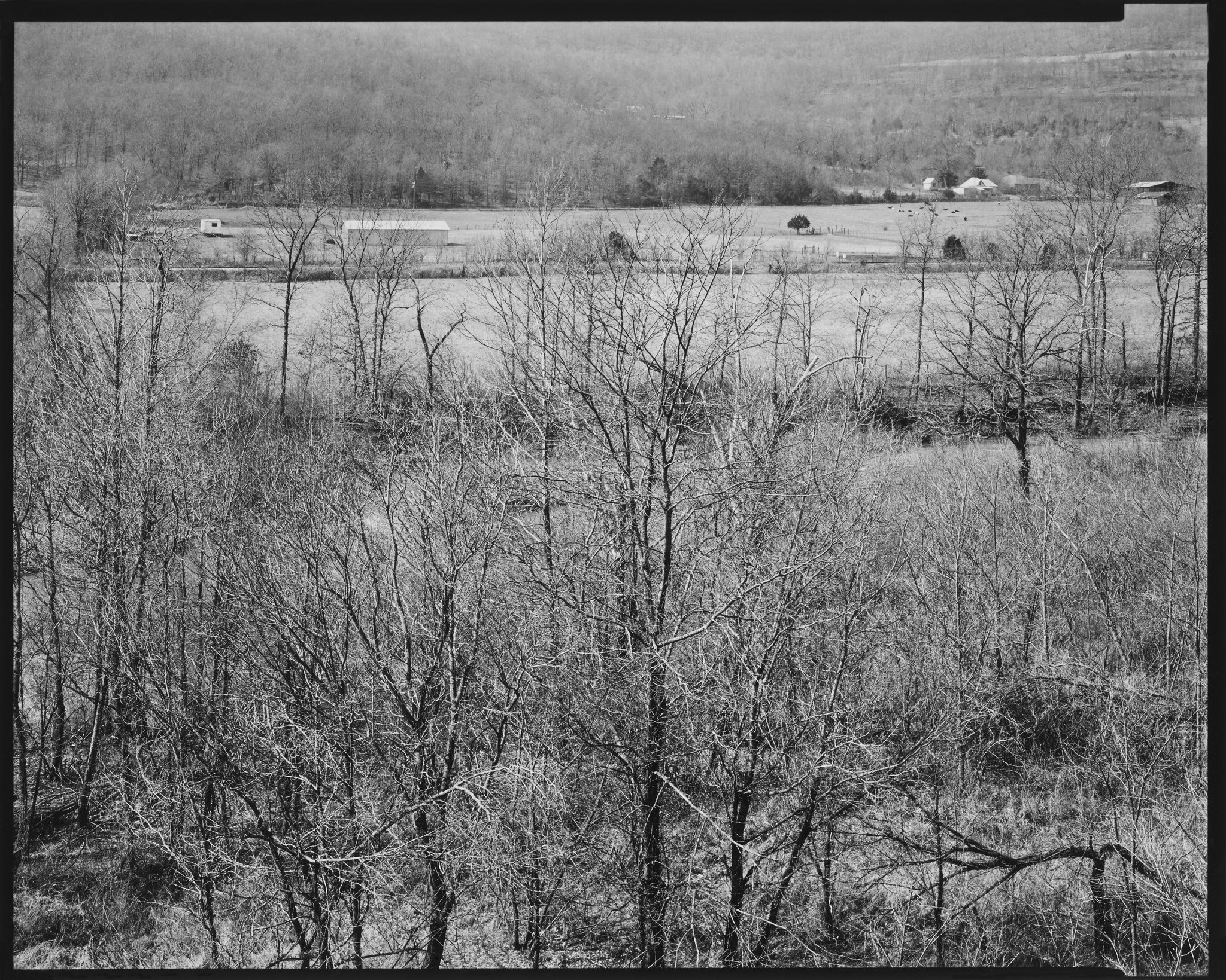 American Landscapes Portfolio_Ozark River Valley, Arkansas_1981 © Nick Merrick.jpg