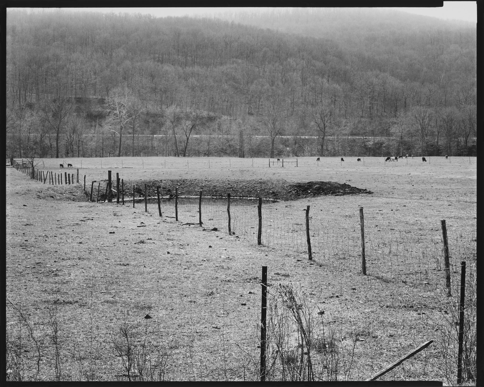 American Landscapes Portfolio_Pasture, Arkansas_1981 © Nick Merrick.jpg