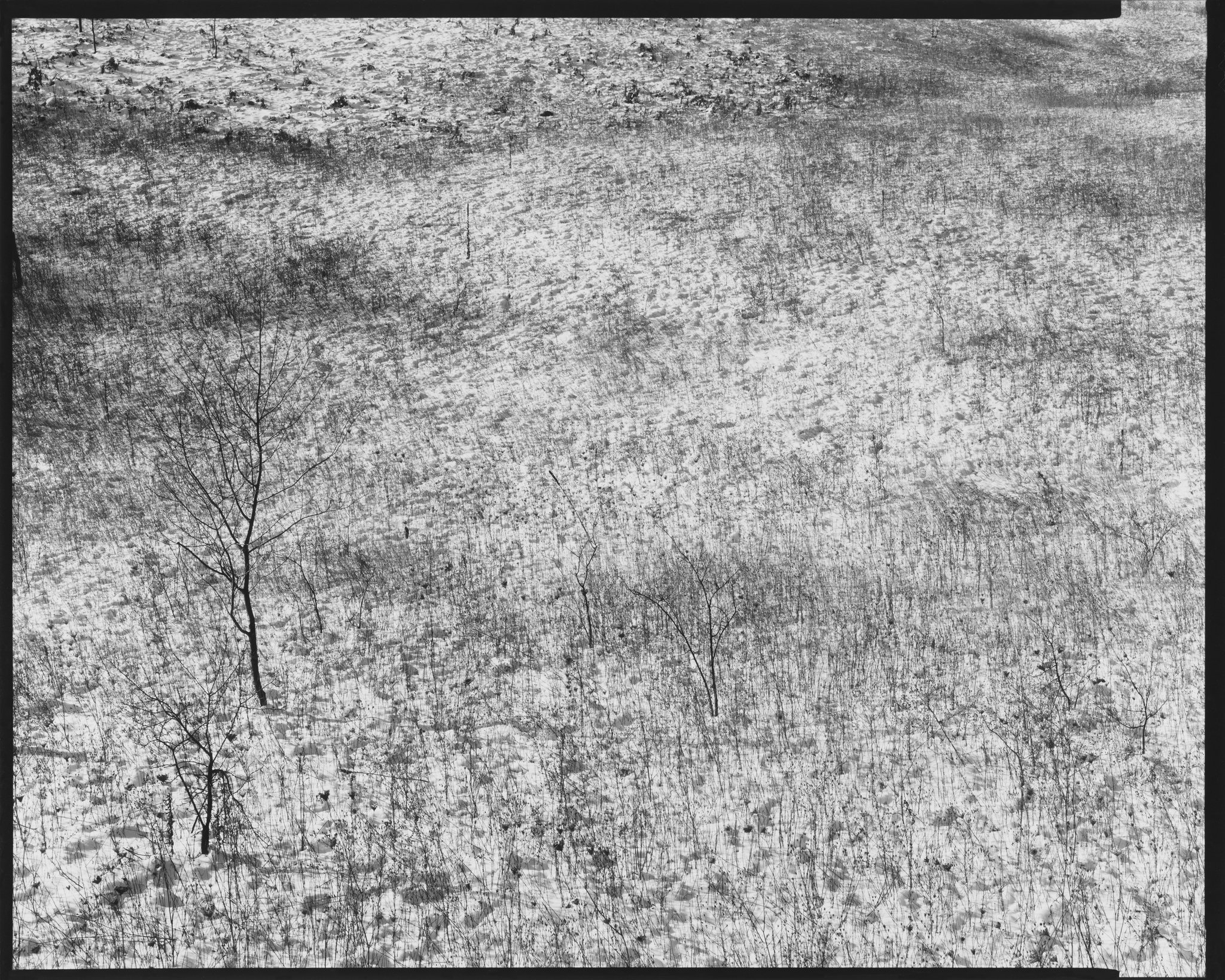 American Landscapes Portfolio_Snow Covered Field, Little Twin Lake, Michigan_1981 © Nick Merrick.jpg