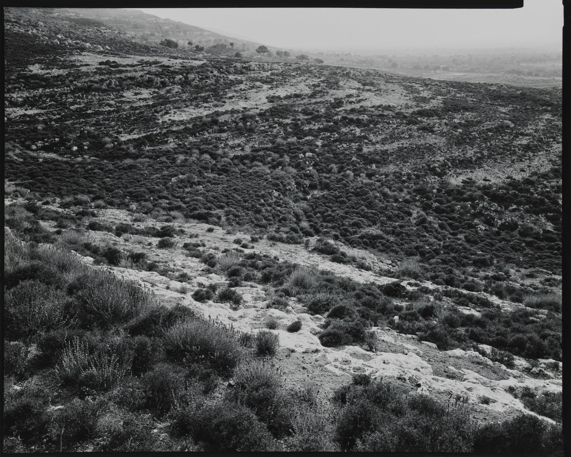 Cyrenaican Landscapes_Cyrene Landscape, Shahat, Libya_1979 © Nick Merrick.jpg