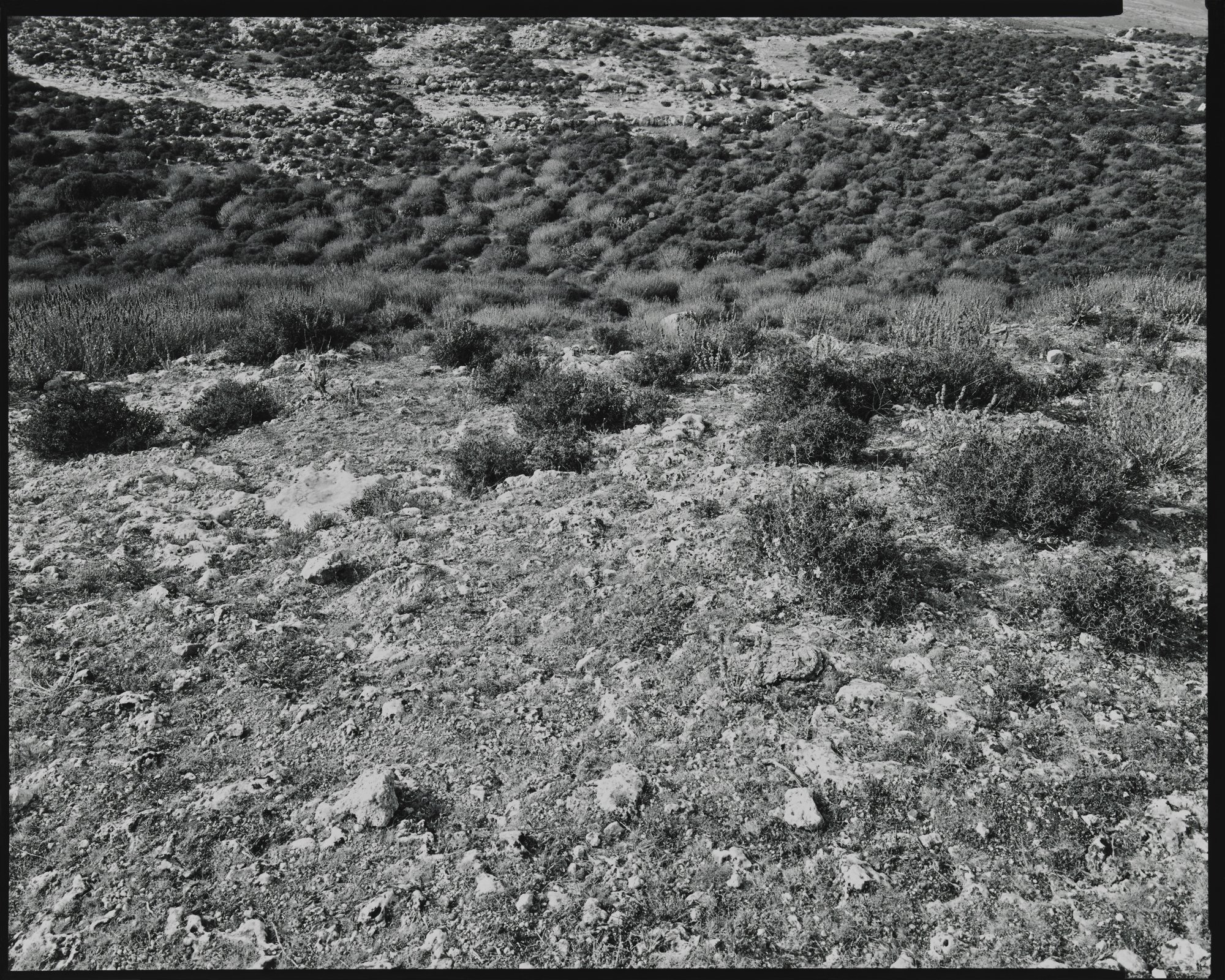 Cyrenaican Landscapes_Landscape (Three Stones), Shahat, Libya_1979 © Nick Merrick.jpg