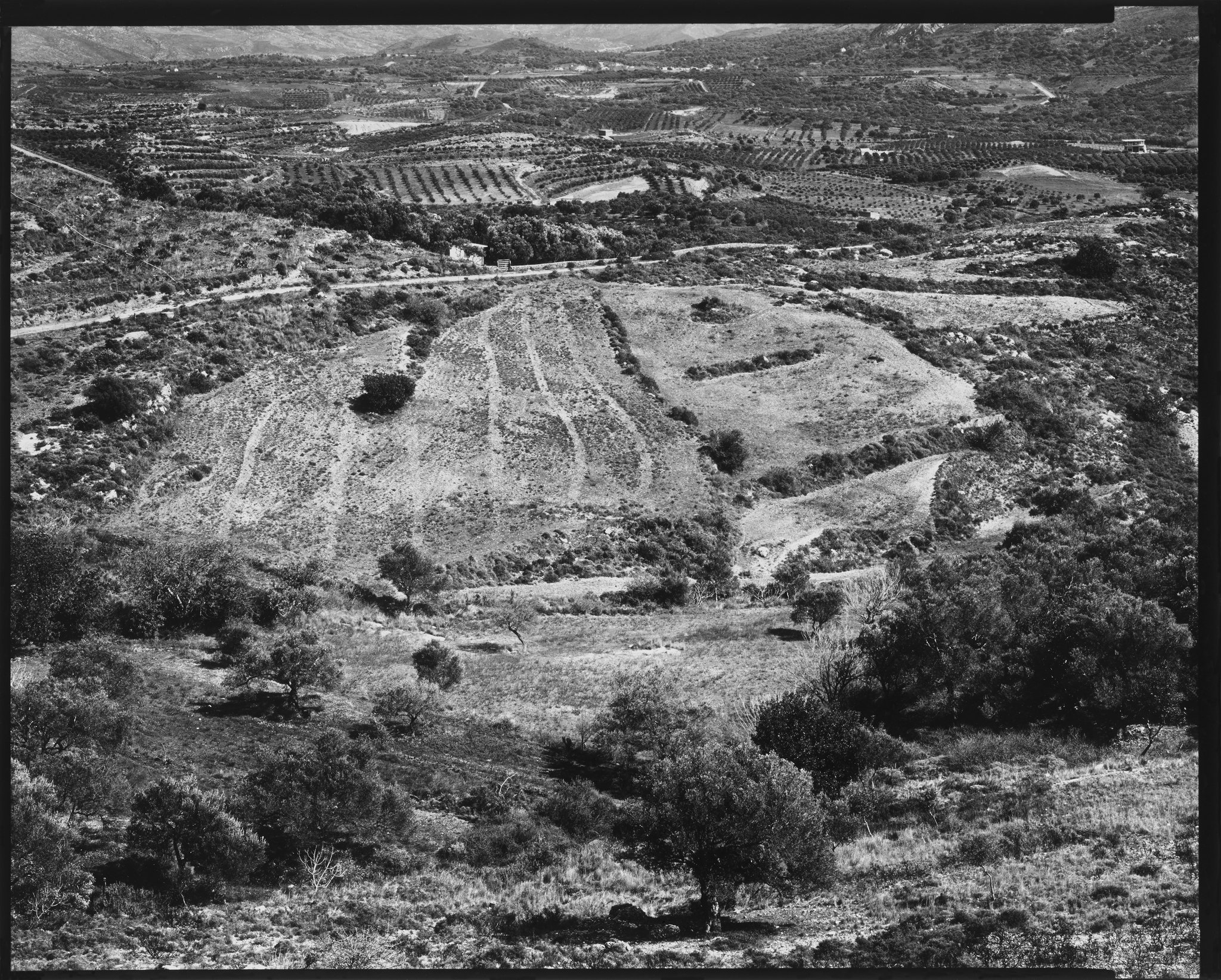 Greek Landscapes Portfolio_Farm Fields near Plakias, Crete_1982 © Nick  Merrick.jpg