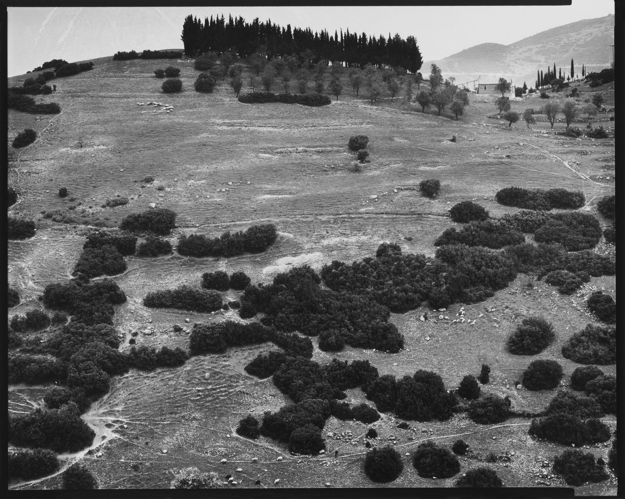Greek Landscapes Portfolio_Landscape with Sheep, Lidoriki, Greece_1982 © Nick Merrick.jpg