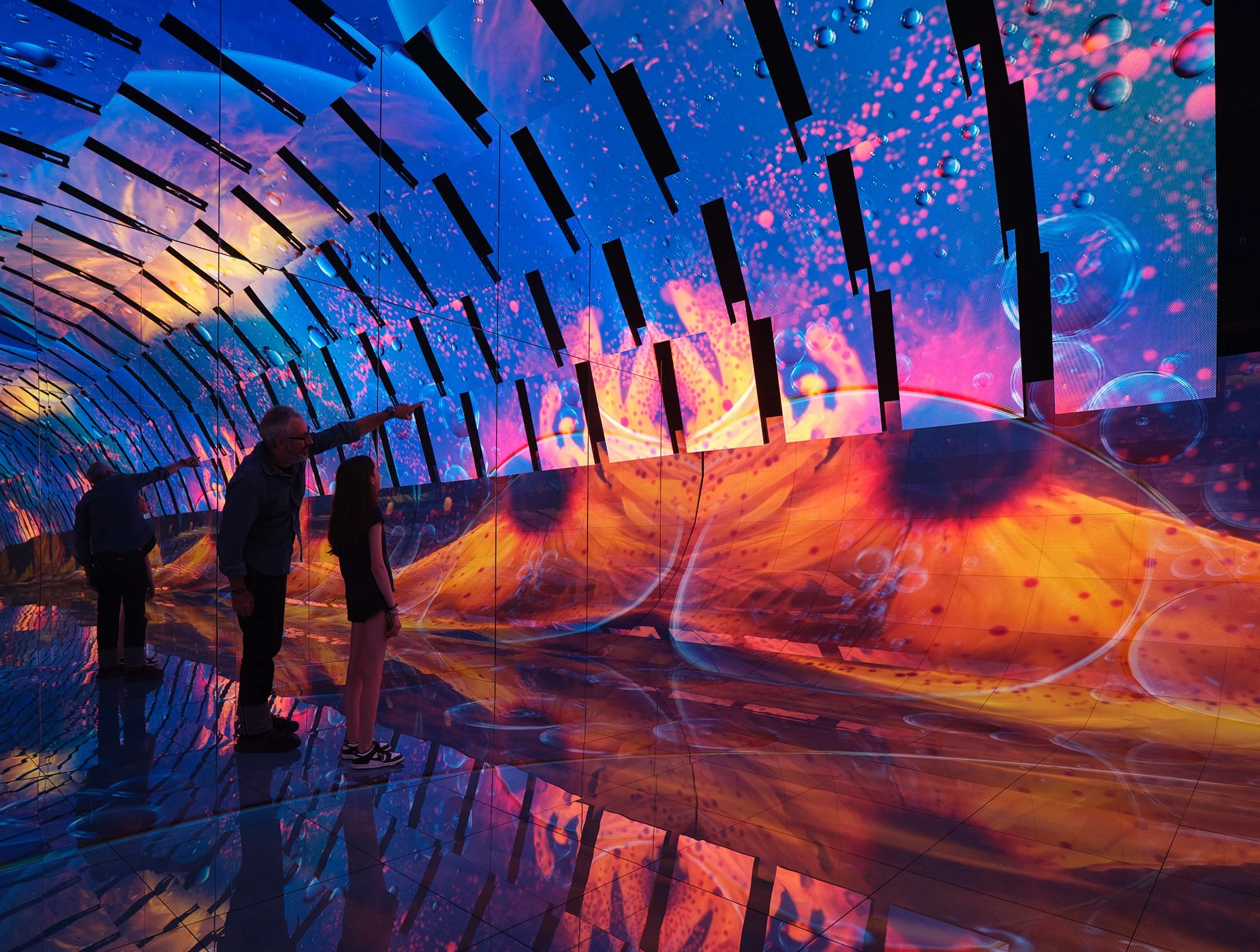  ‘The Blue Paradox’  Wight &amp; Company  Griffin Museum of Science and Industry  Chicago, IL     Return to Projects  