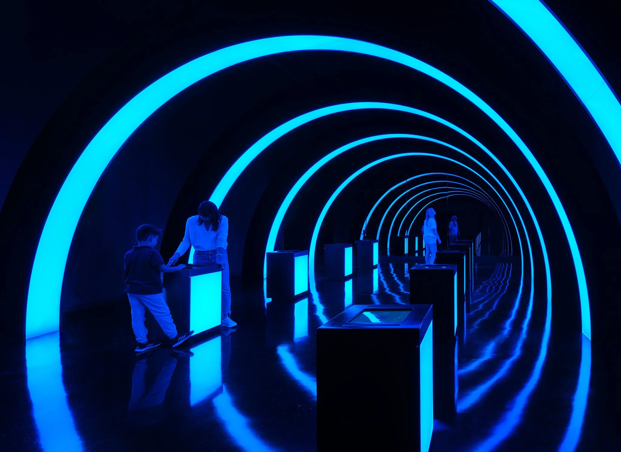  ‘The Blue Paradox’  Wight &amp; Company  Griffin Museum of Science and Industry  Chicago, IL     Return to Projects  