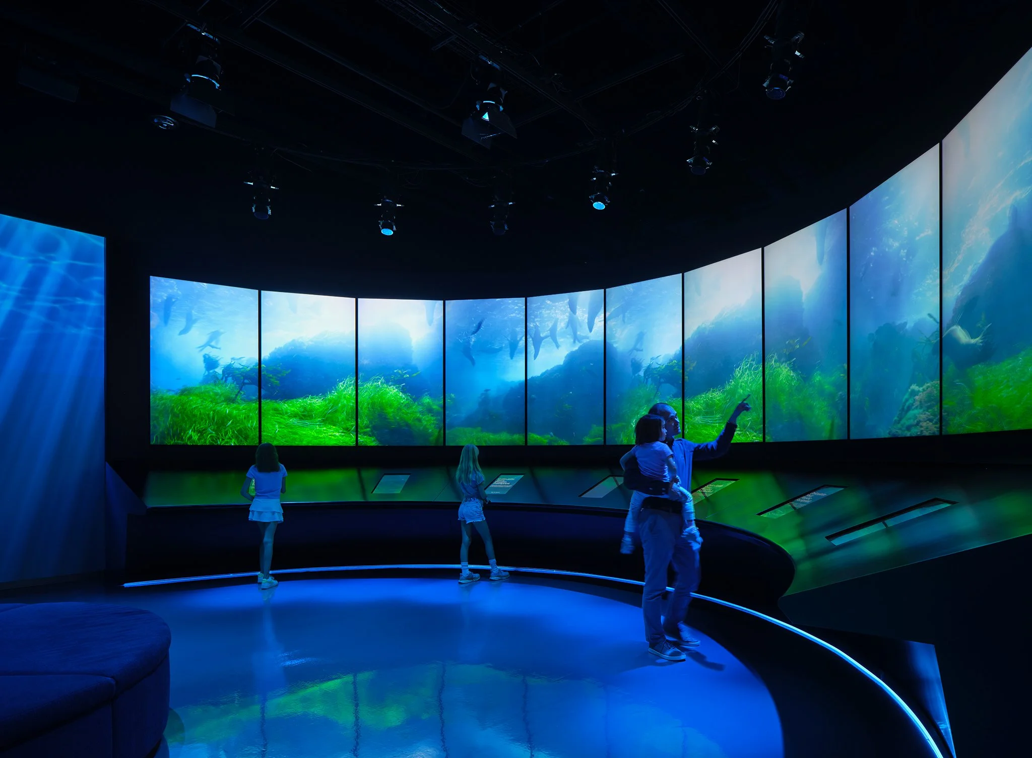  ‘The Blue Paradox’  Wight &amp; Company  Griffin Museum of Science and Industry  Chicago, IL     Return to Projects  