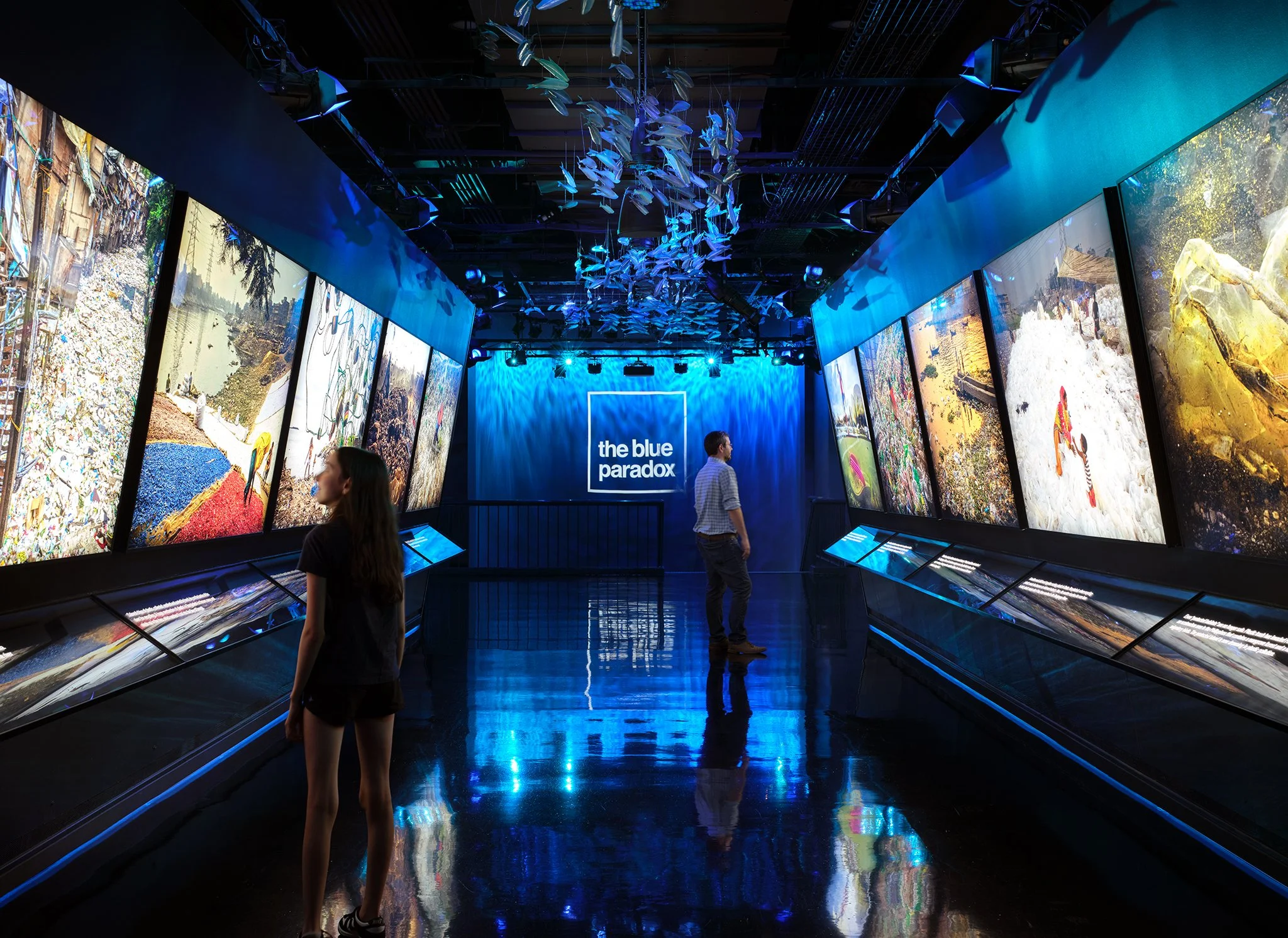  ‘The Blue Paradox’  Wight &amp; Company  Griffin Museum of Science and Industry  Chicago, IL     Return to Projects  