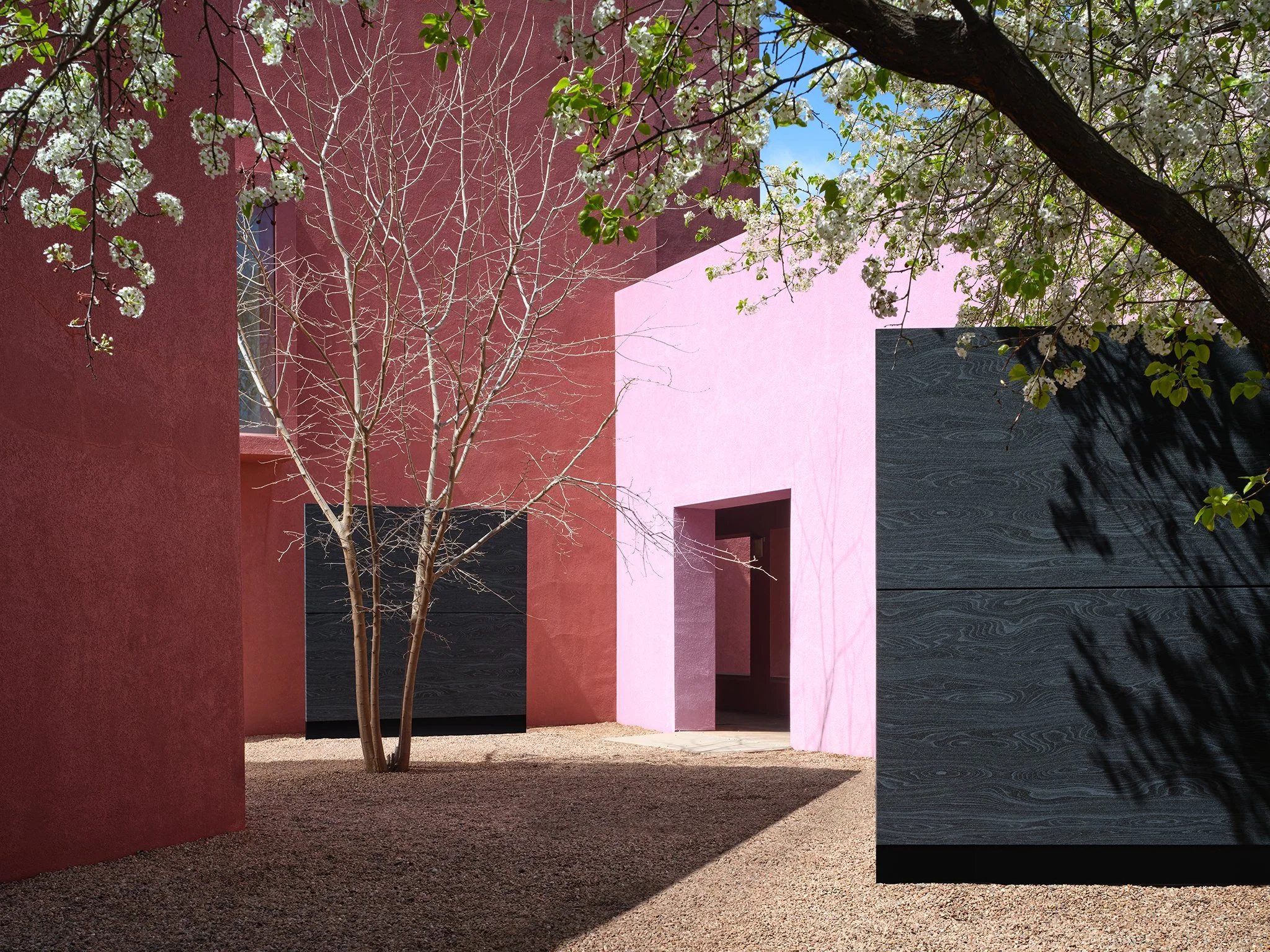  Wood Textures Collection  TURF  Santa Fe, NM     Return to Projects  