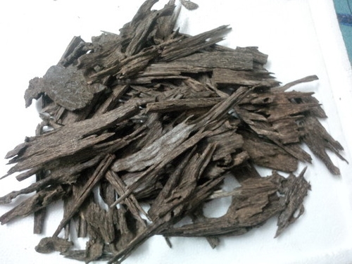 oudh1.jpg